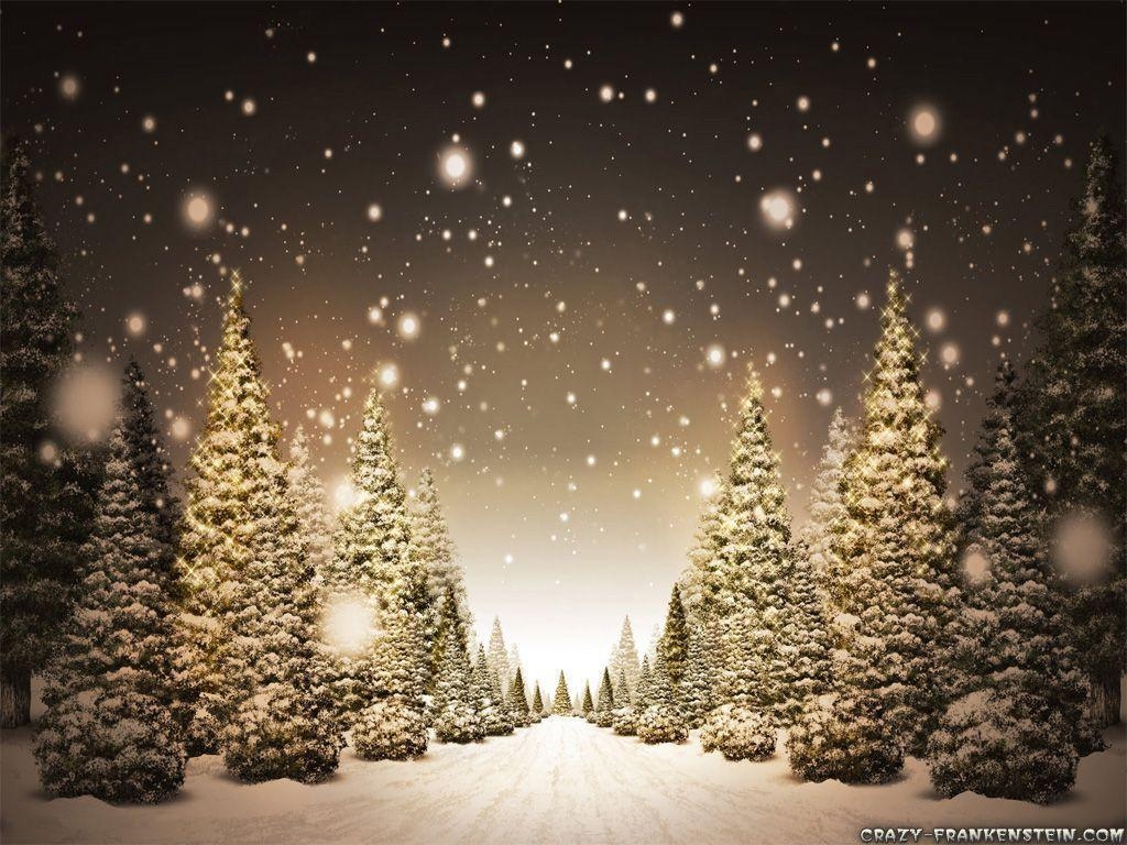 1030x770 Snowy Christmas Tree Wallpaper, Desktop