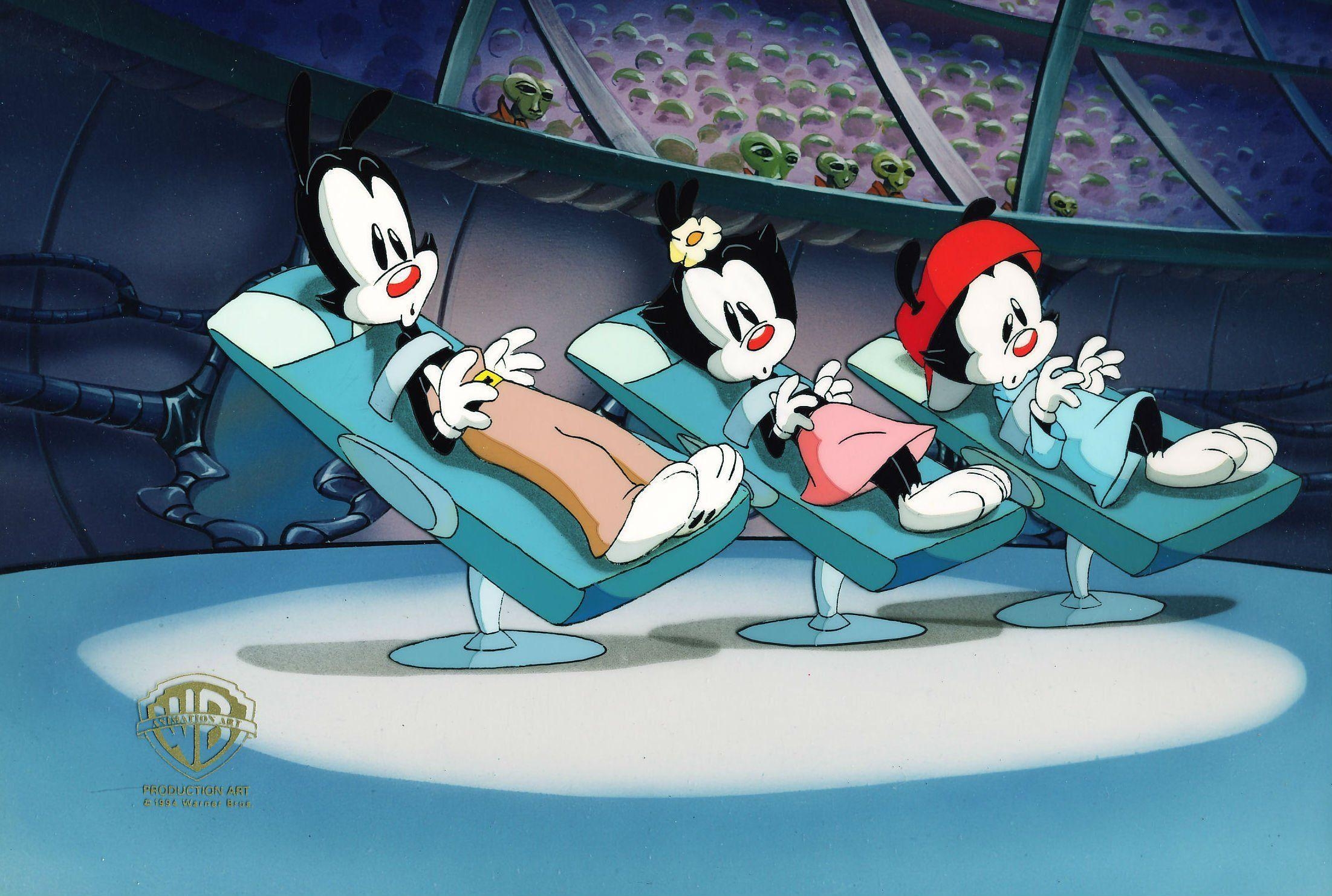 2210x1490 animaniacs wallpaper, Desktop