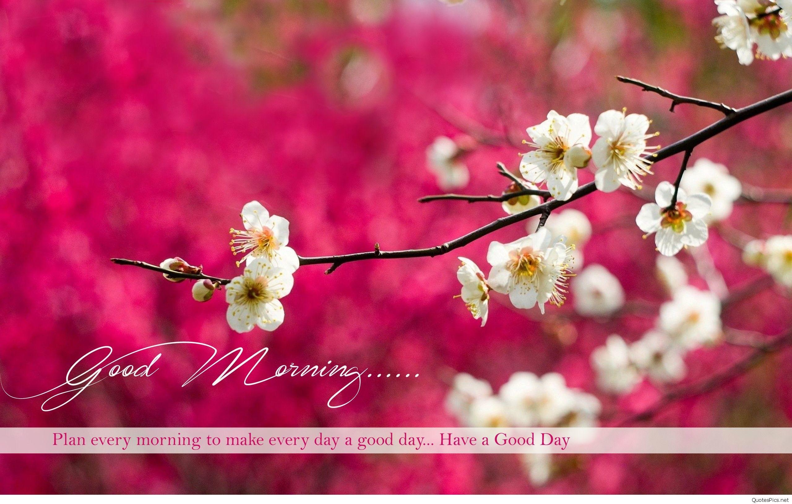 2560x1630 Beautiful Good Morning Wallpaper, Desktop