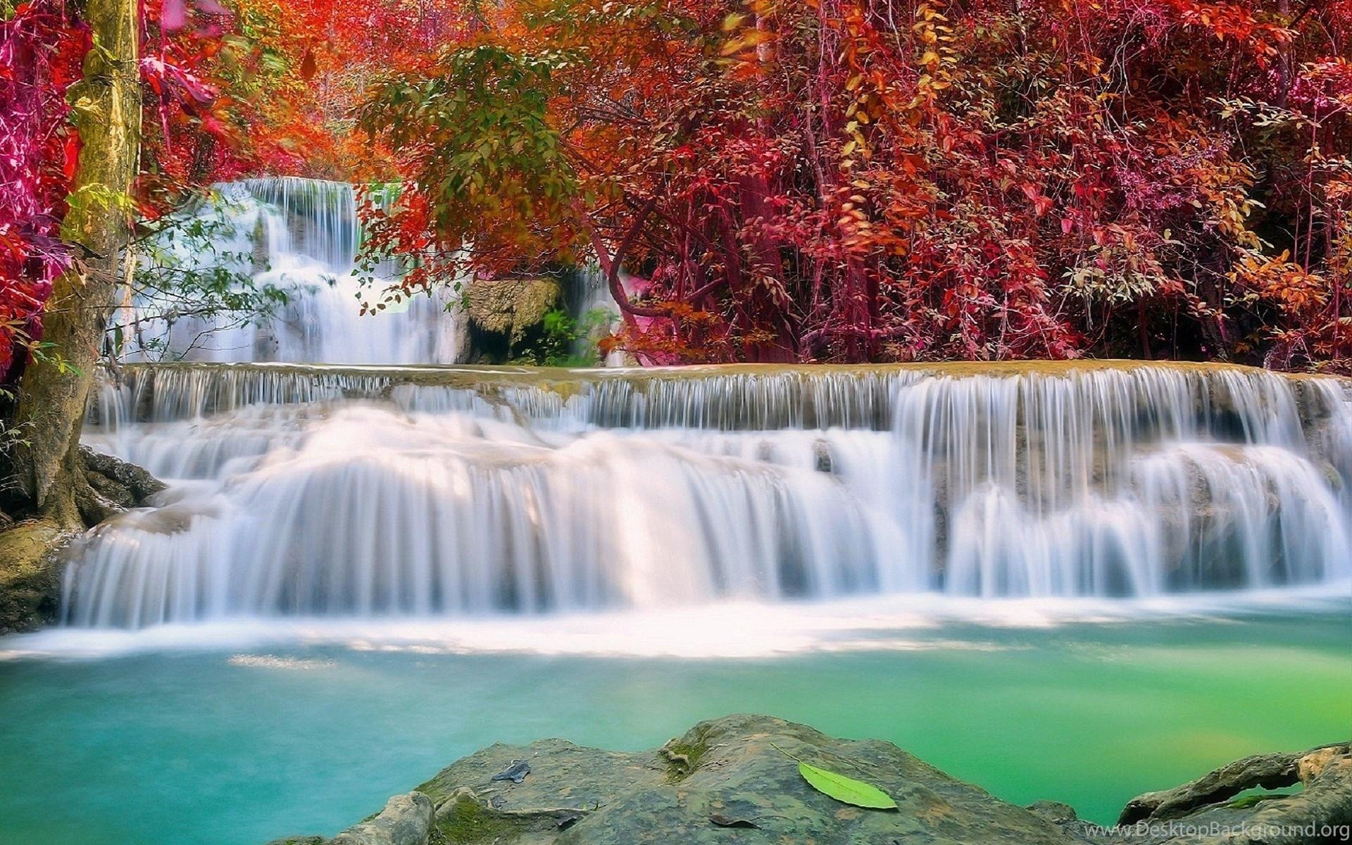 1920x1200 Waterfalls: Waterfall Autumn Photography Paradise Plants Love, Desktop