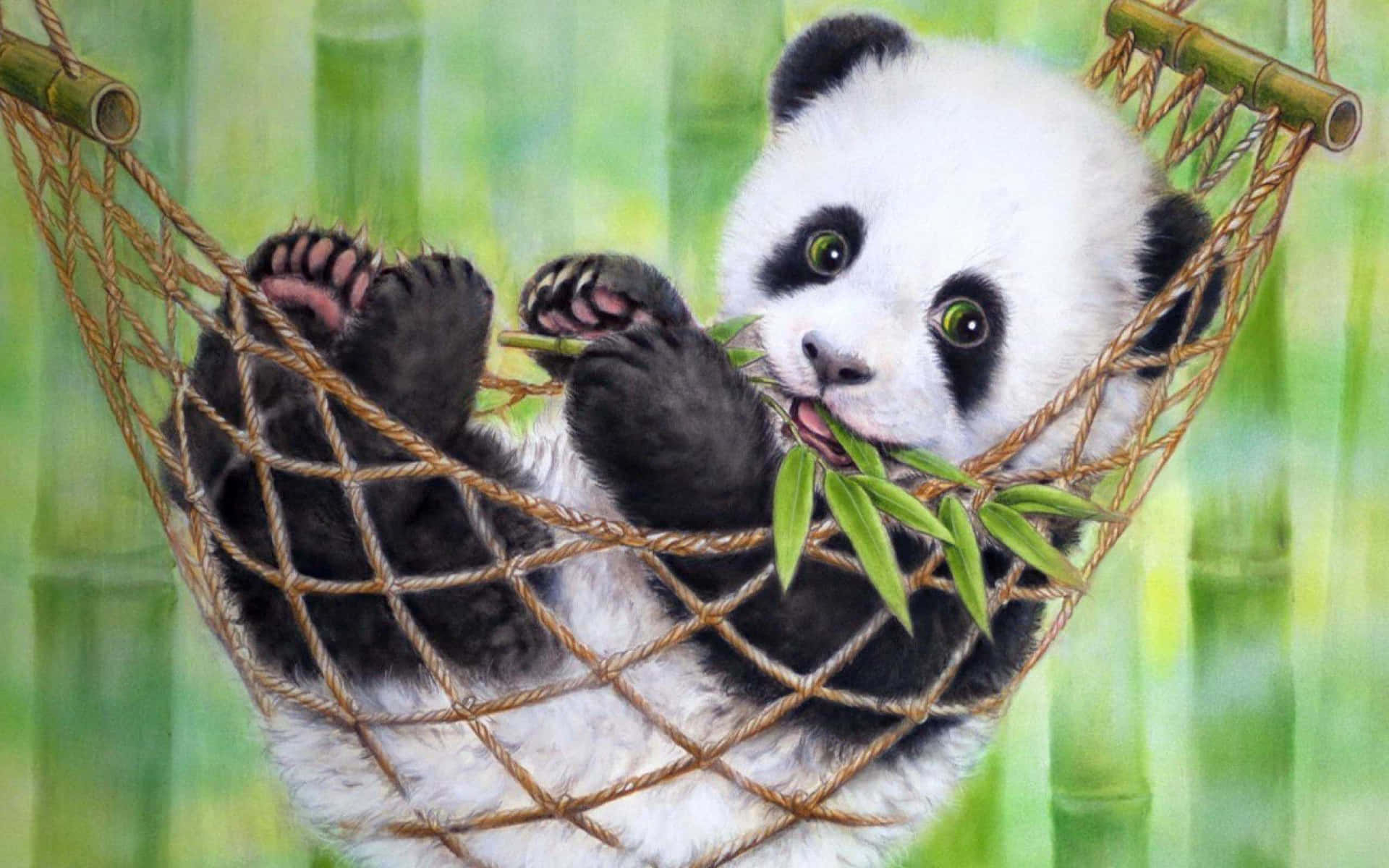 1920x1200 Free Panda Laptop Wallpaper Downloads, Panda Laptop Wallpaper for FREE, Desktop