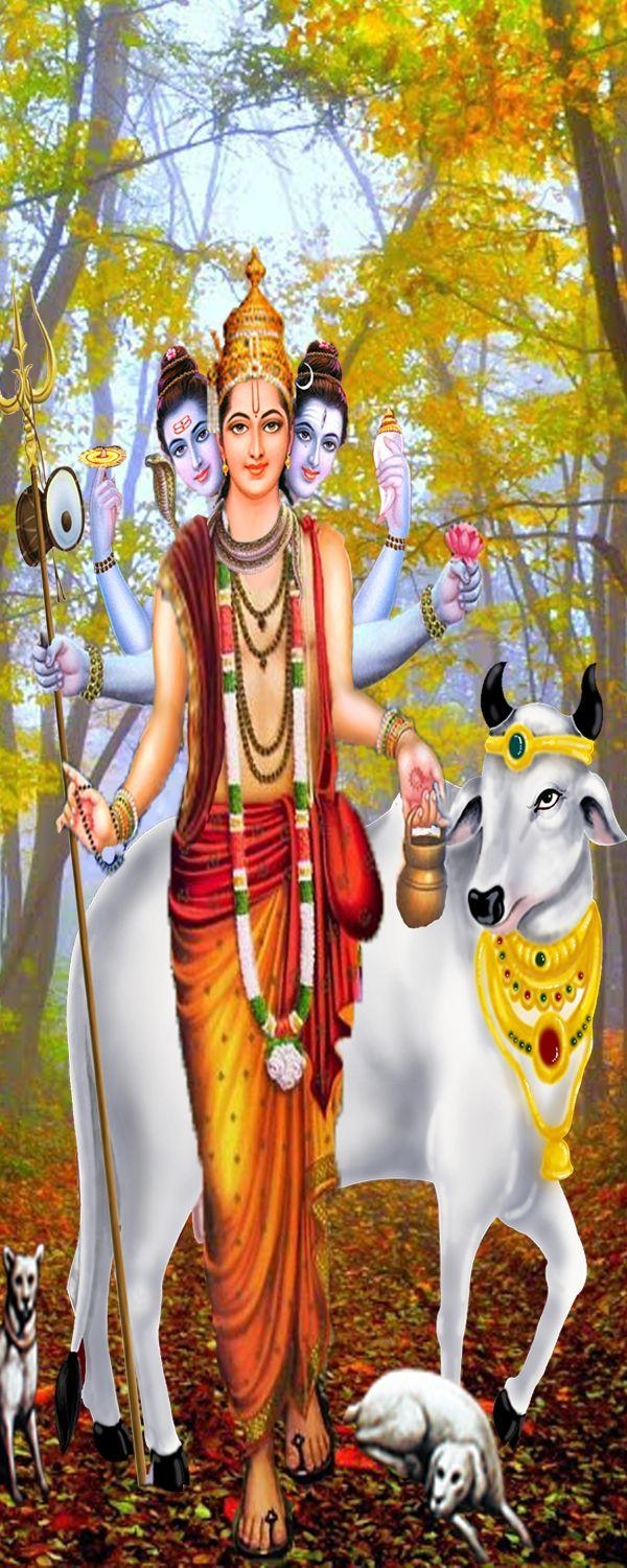 600x1500 Lord dattatreya photo datta. dattatreya. dattatreya wallpaper, Phone