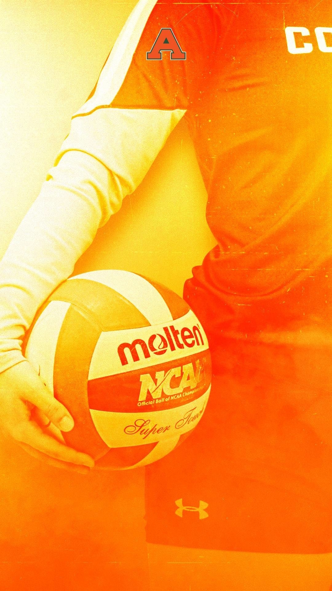 1080x1920 Cool volleyball Wallpaper Download, Phone