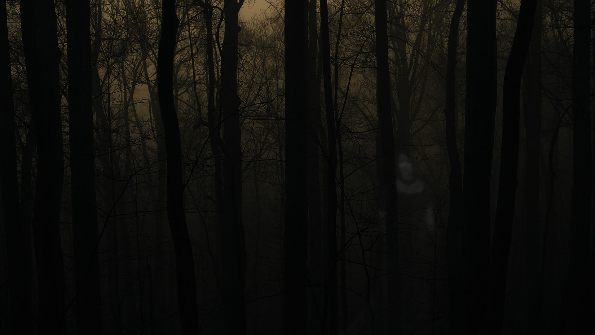 1920x1080 Haunted Forest, Desktop