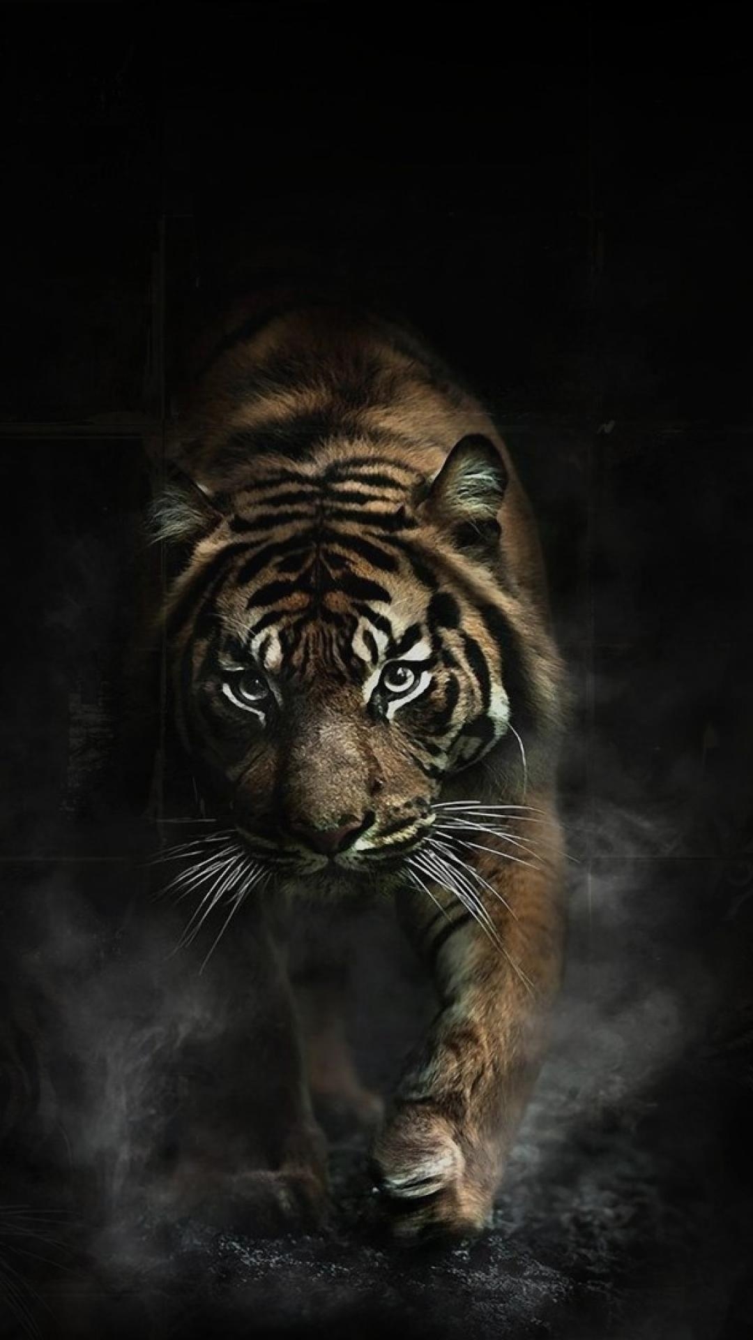 1080x1920 Animals tigers smoke dangerous wallpaper, Phone