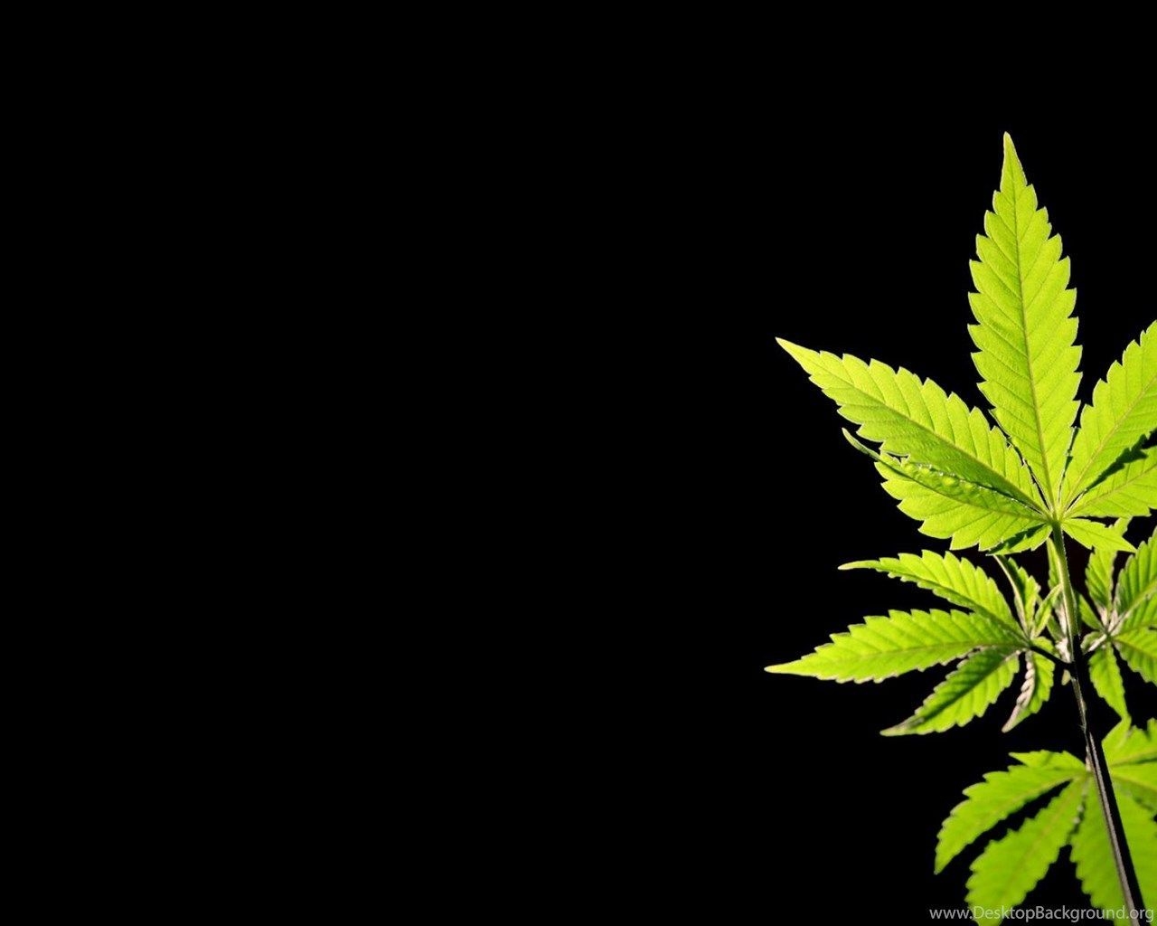 1280x1030 New Marijuana Wallpaper, Desktop