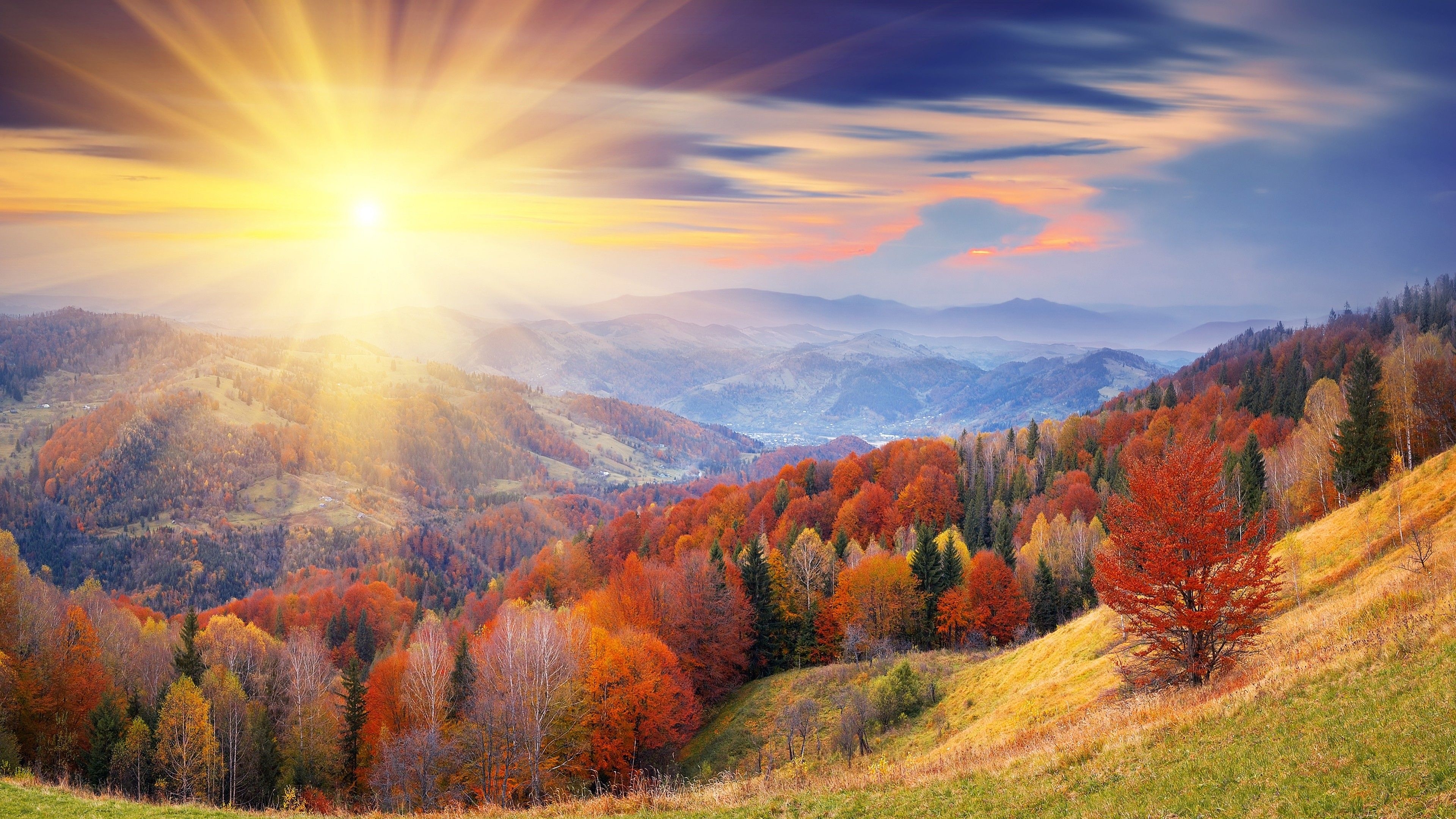 3840x2160 Wallpaper autumn, 4k, HD wallpaper, 8k, trees, dawn, mount, coloring, Nature, Desktop