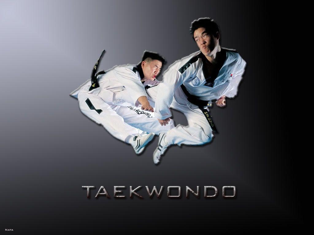 1030x770 Taekwondo Wallpaper, Background, Theme, Desktop, Desktop