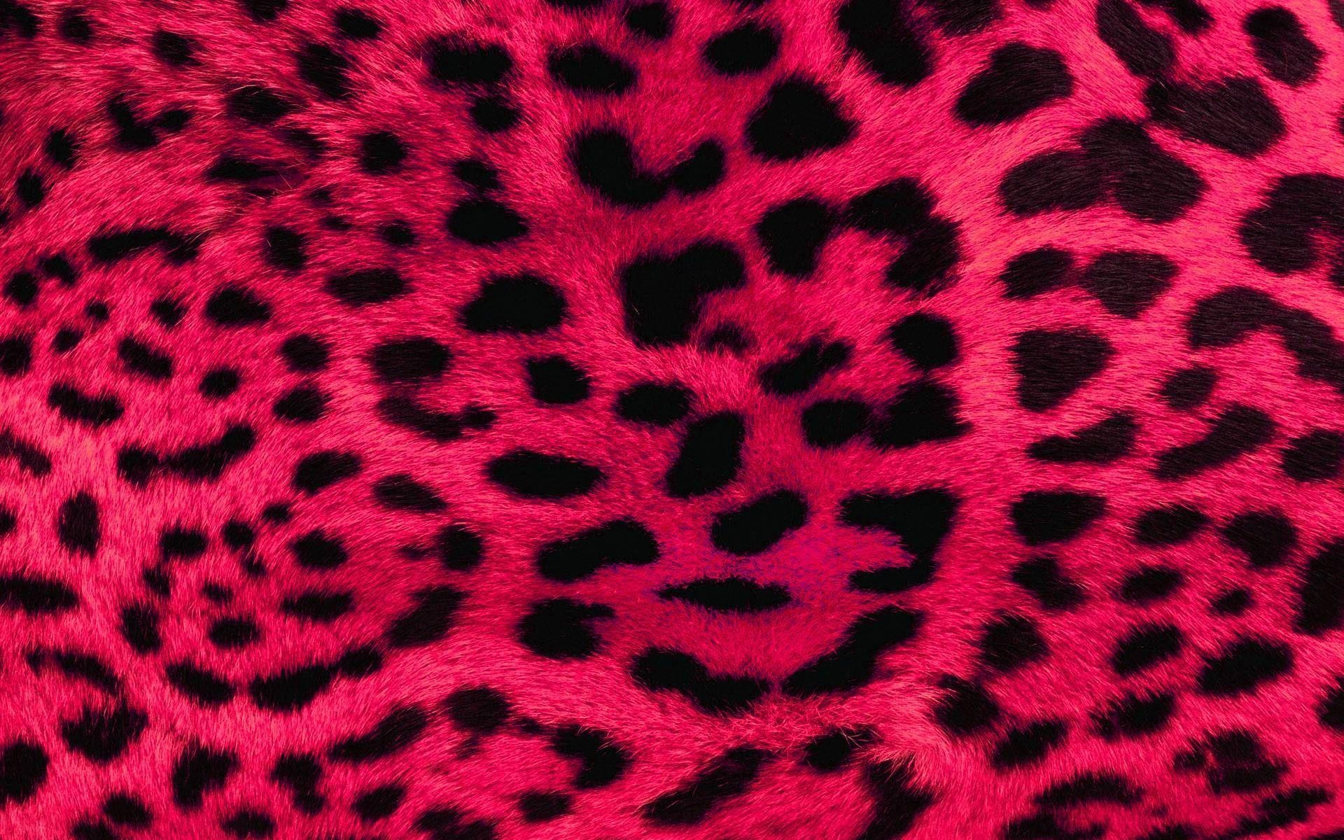 1920x1200 Best Cheetah print wallpaper ideas Leopard. wallpaper, Desktop