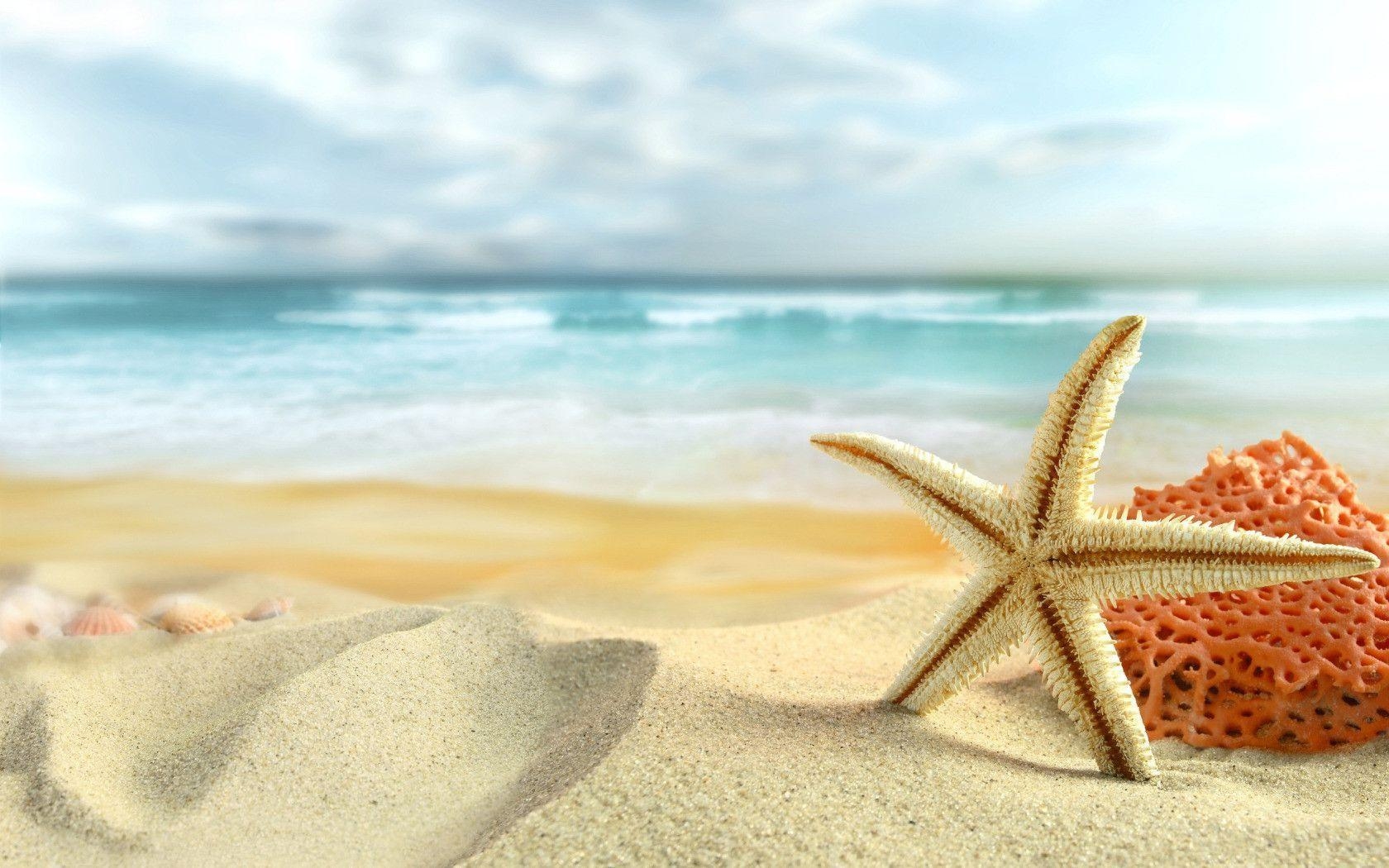 1680x1050 Starfish and Sea Shells on the Beach widescreen wallpaper. Wide, Desktop