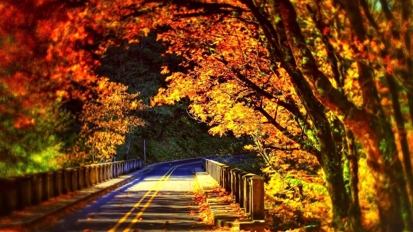 1370x770 Beautiful Autumn Road Scenery Wallpaper Wallpaper, Desktop