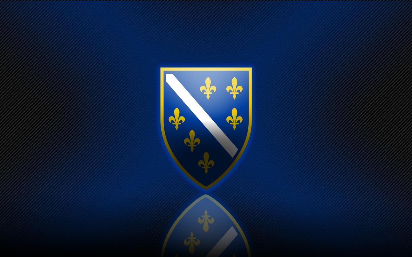 1440x900 Group of Bosnia Soccer Wallpaper, Desktop