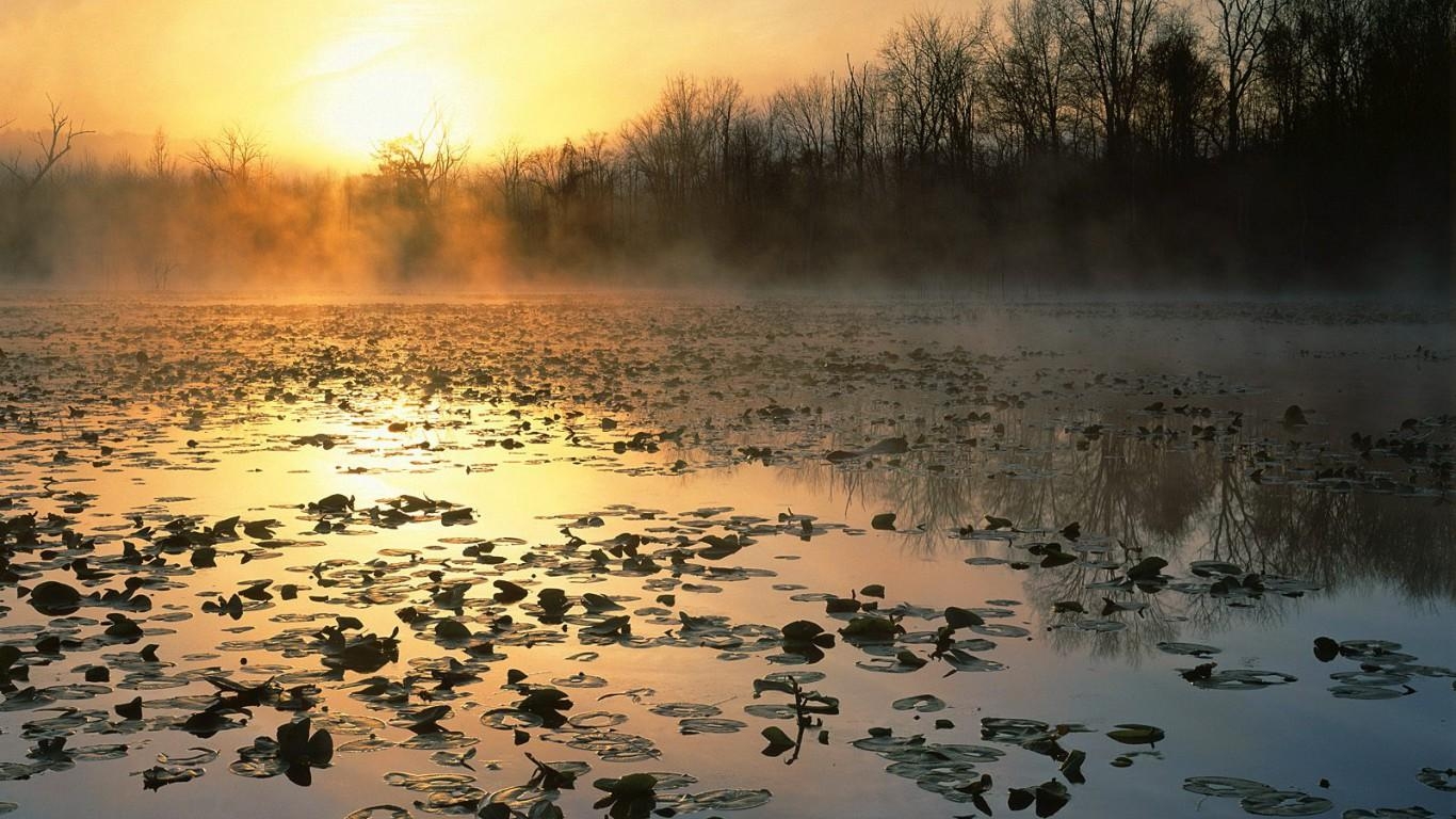 1370x770 Cuyahoga Valley National Recreation Area at Sunrise, Ohio, Desktop