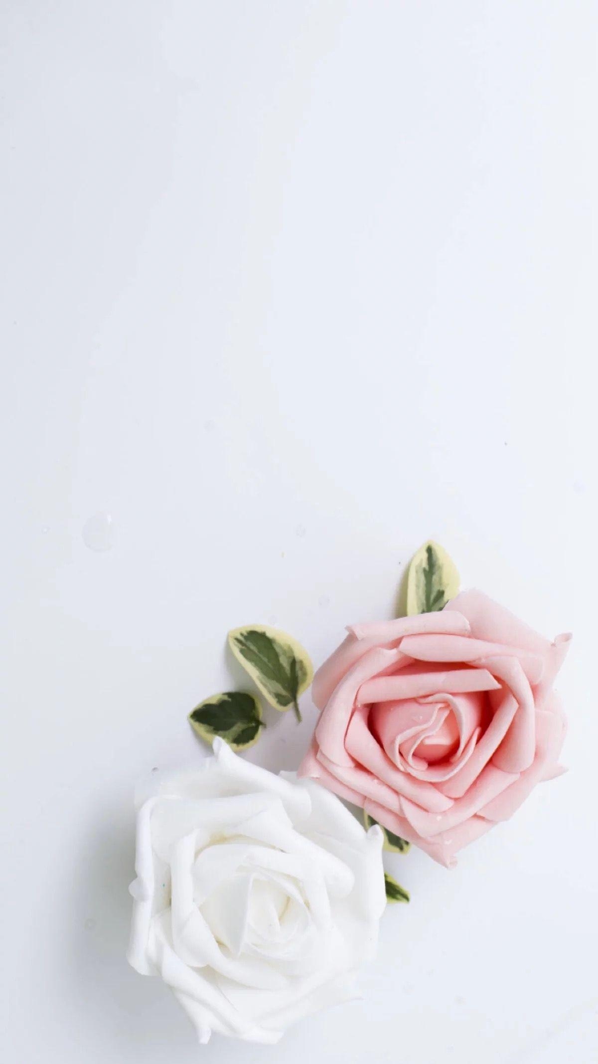 1200x2140 Cute Aesthetic Wallpaper Flowers, Phone