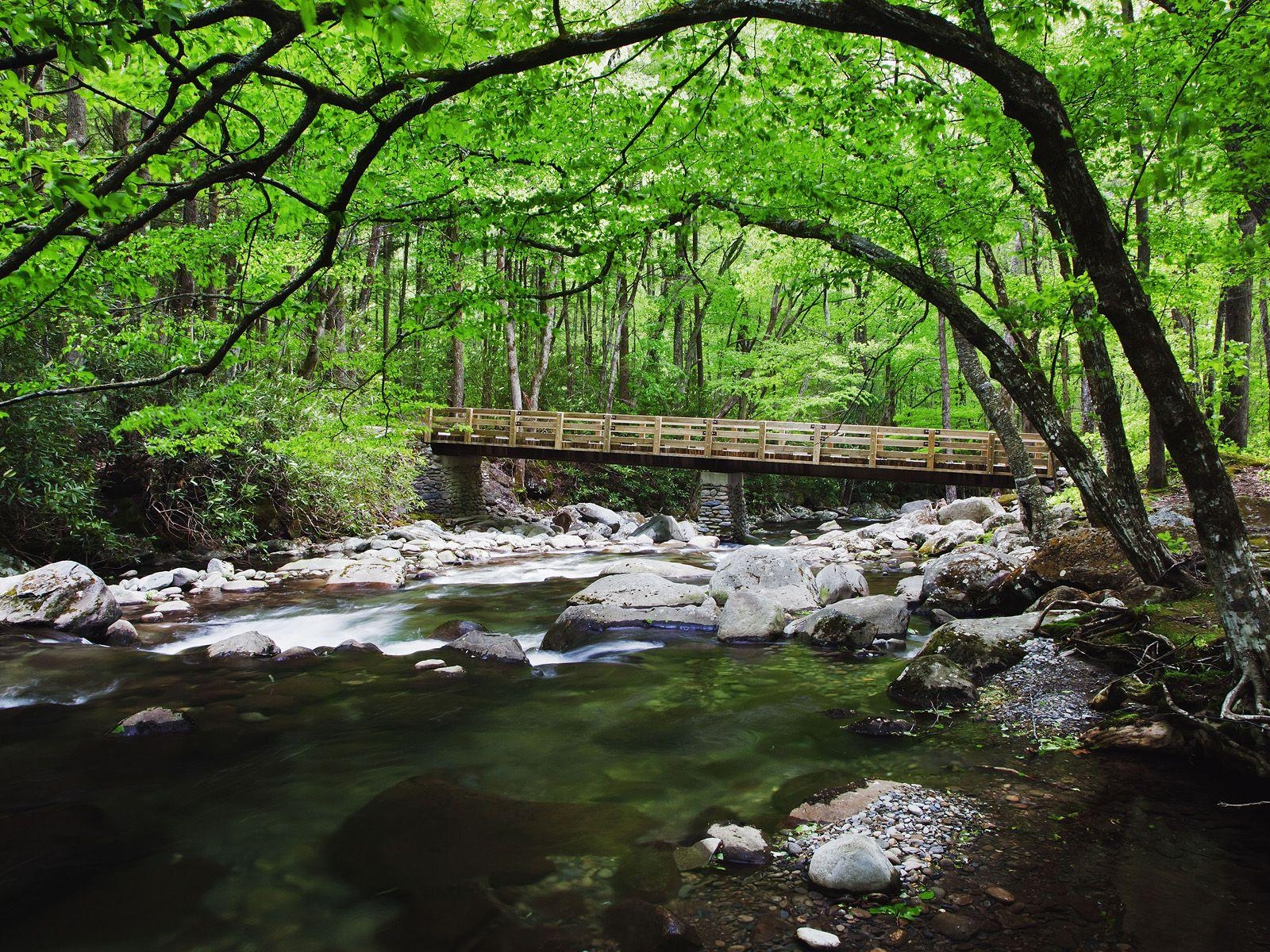 1600x1200 Bridge Over Creek Along Greenbrier, Great Smoky Mountains National, Desktop