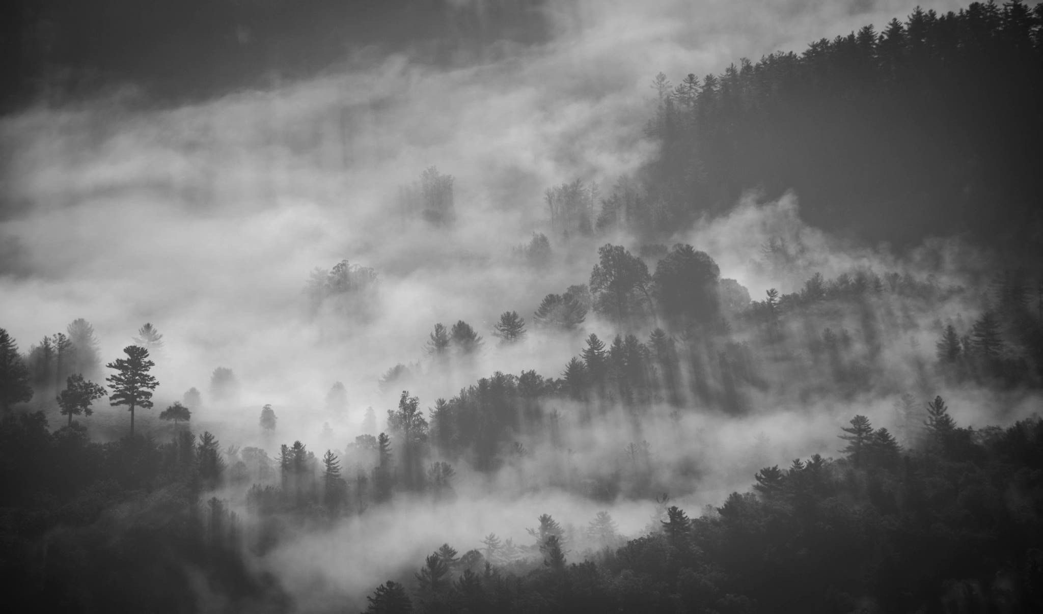 2050x1210  fog, smoke, mist, morning, dark, cloudy, Desktop