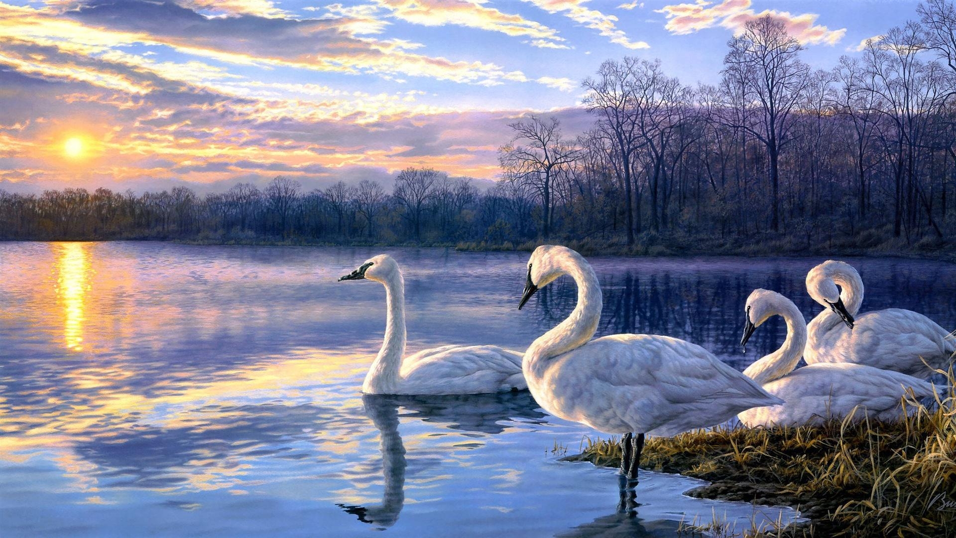 1920x1080 Wallpaper Art painting swan lake sunset landscape 2560x1440, Desktop