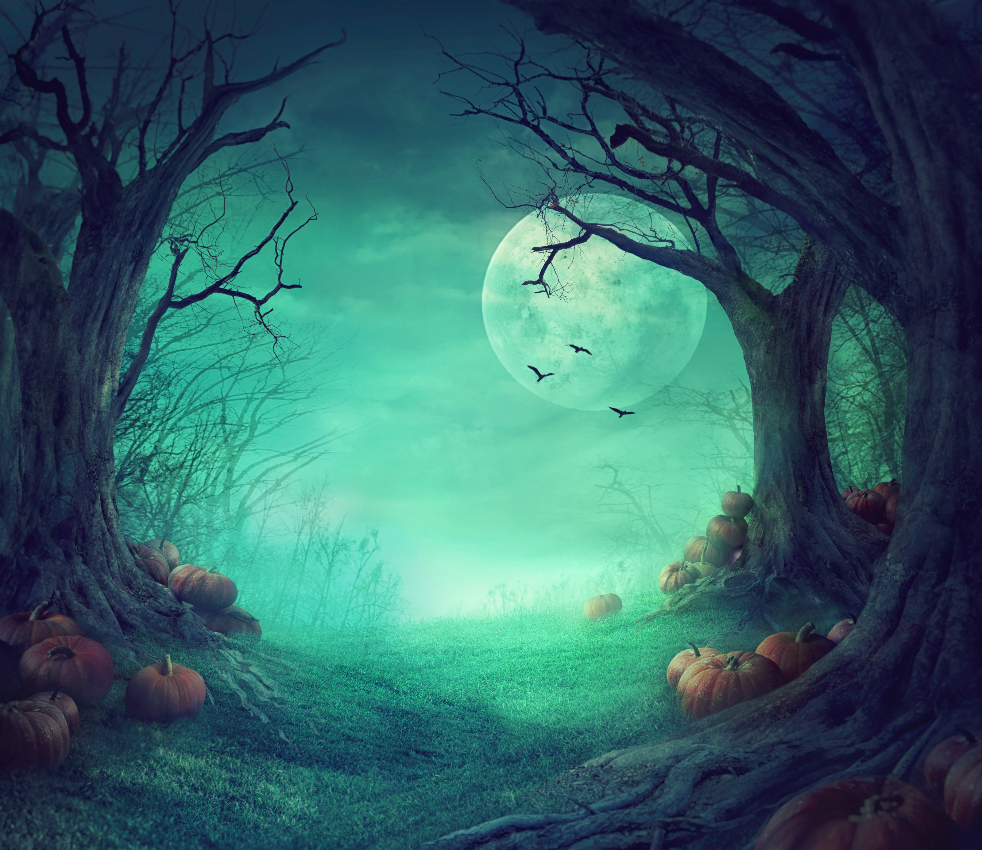 3200x2780 Spooky Halloween Woods Wallpaper Mural Your Way, Desktop