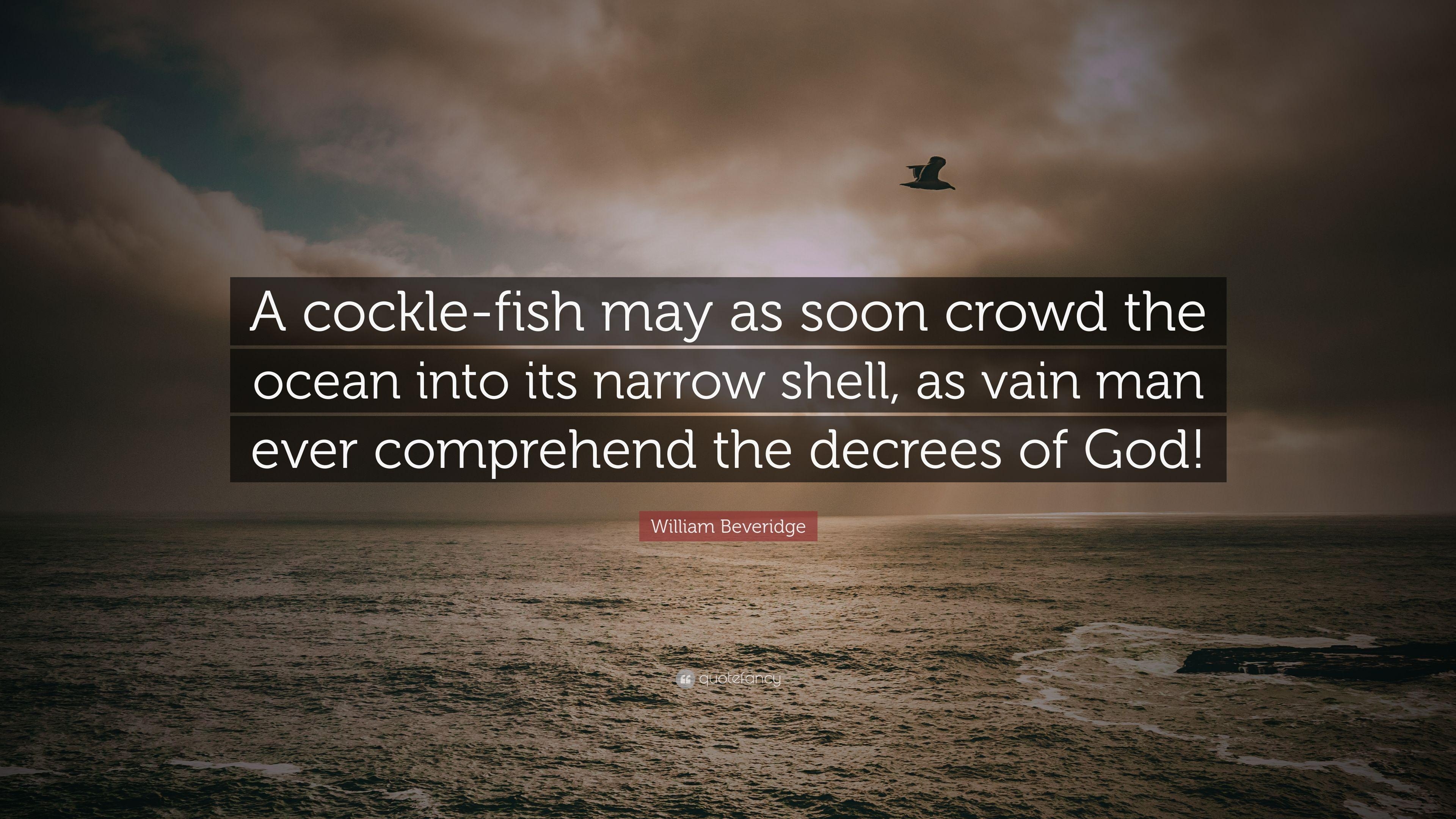 3840x2160 William Beveridge Quote: “A Cockle Fish May As Soon Crowd, Desktop