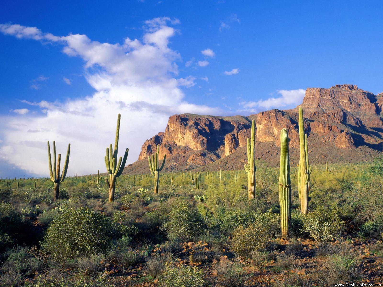 1600x1200 Desktop Wallpaper Natural Background Superstition Mountains, Desktop