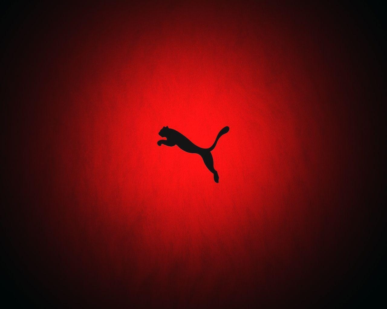 1280x1030 HD Puma Wallpaper. Puma Best Picture Collection, Desktop