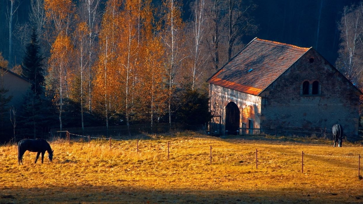 1250x700 Horses rustic farm barn landscapes buildings autumn fall trees wallpaperx1080, Desktop