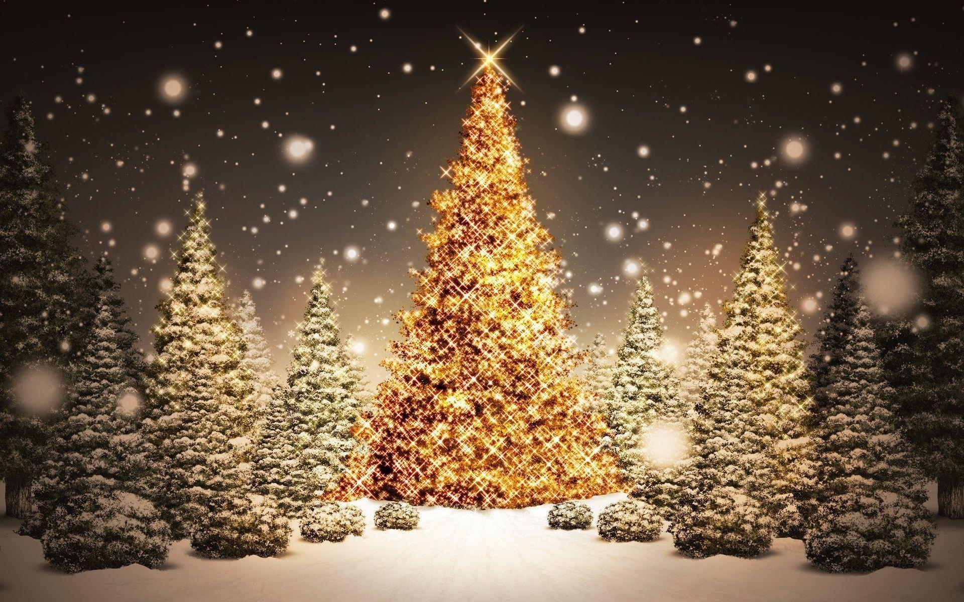 1920x1200 Christmas Snow Trees Wallpaper, Desktop