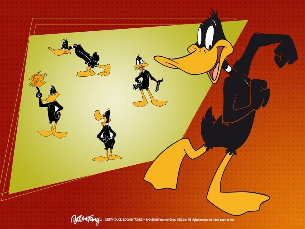 1030x770 Looney Tunes Daffy Duck Wallpaper Image for iPod, Desktop