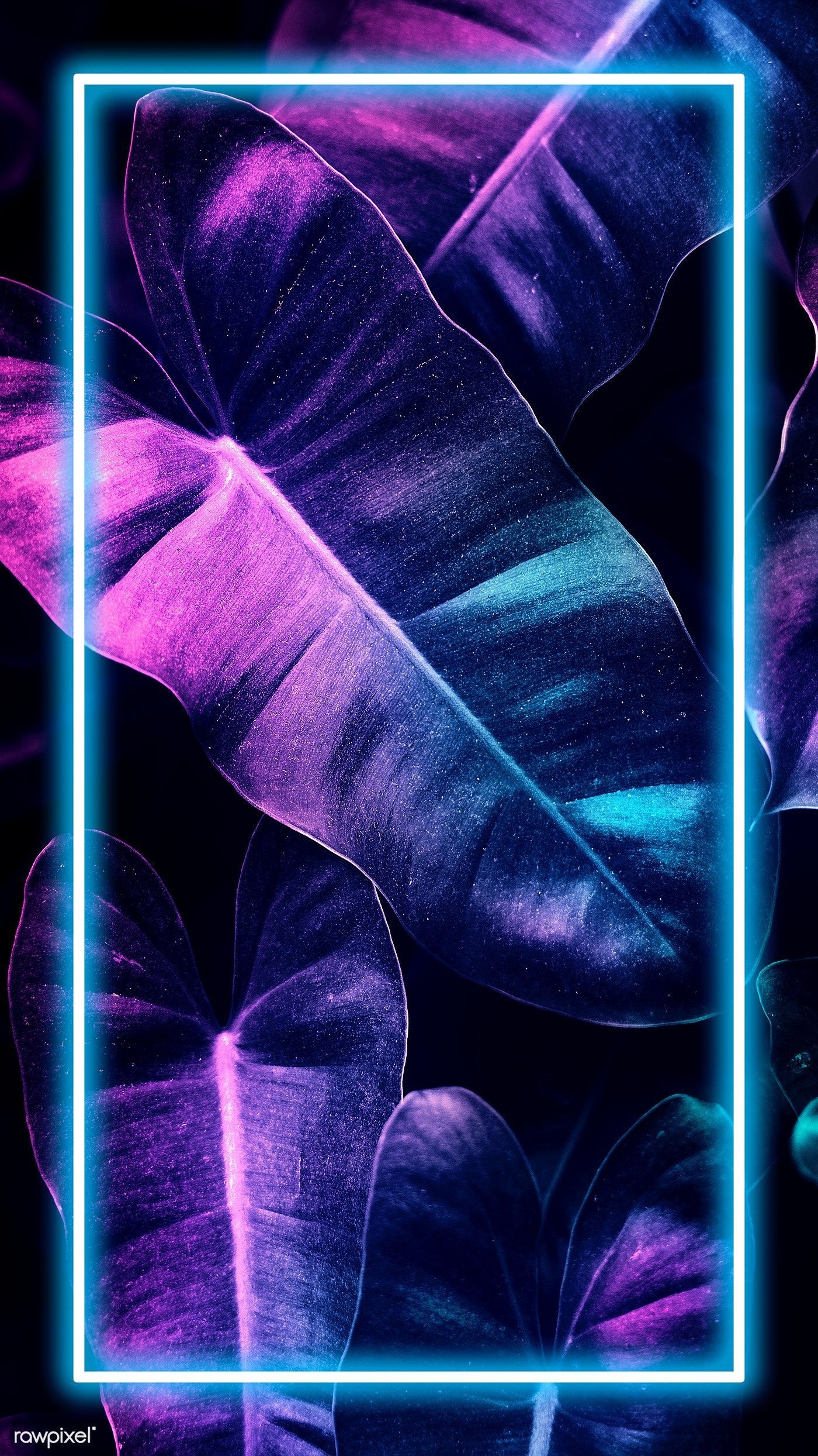 1400x2490 Download premium psd of Anthurium leaves mobile screen wallpaper 1219996. Wallpaper iphone neon, Flower phone wallpaper, Neon wallpaper, Phone