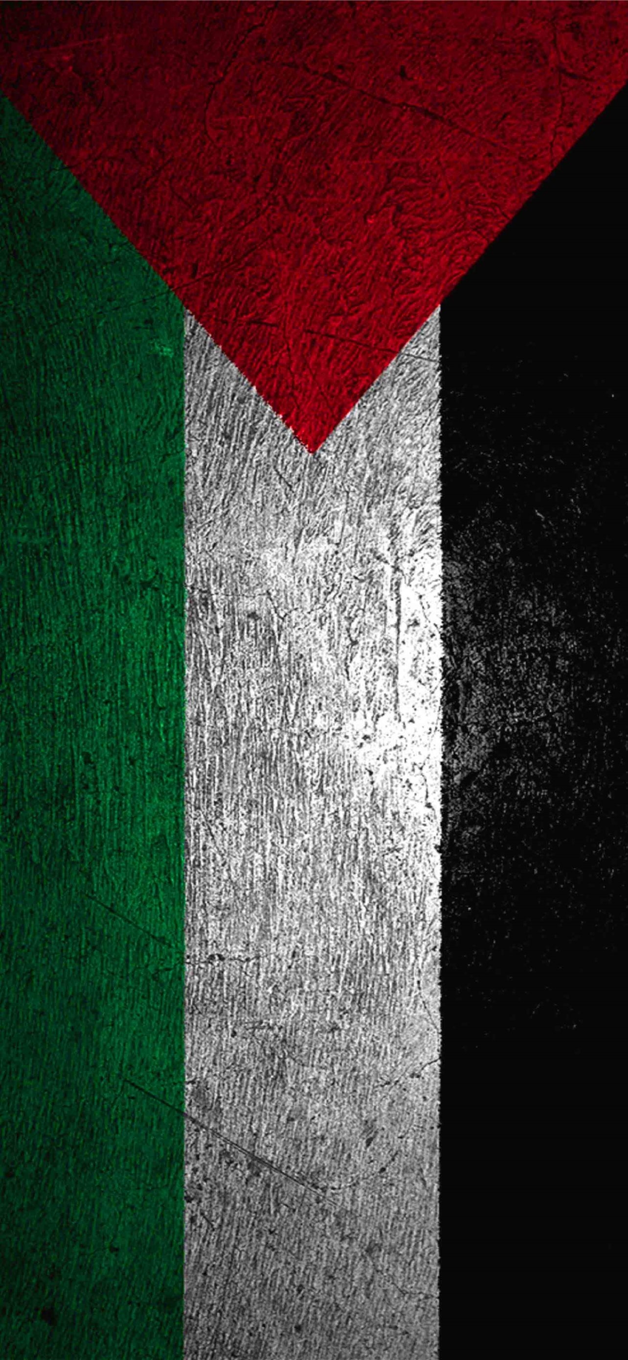 1290x2780 Best Palestine iPhone HD Wallpaper, Phone