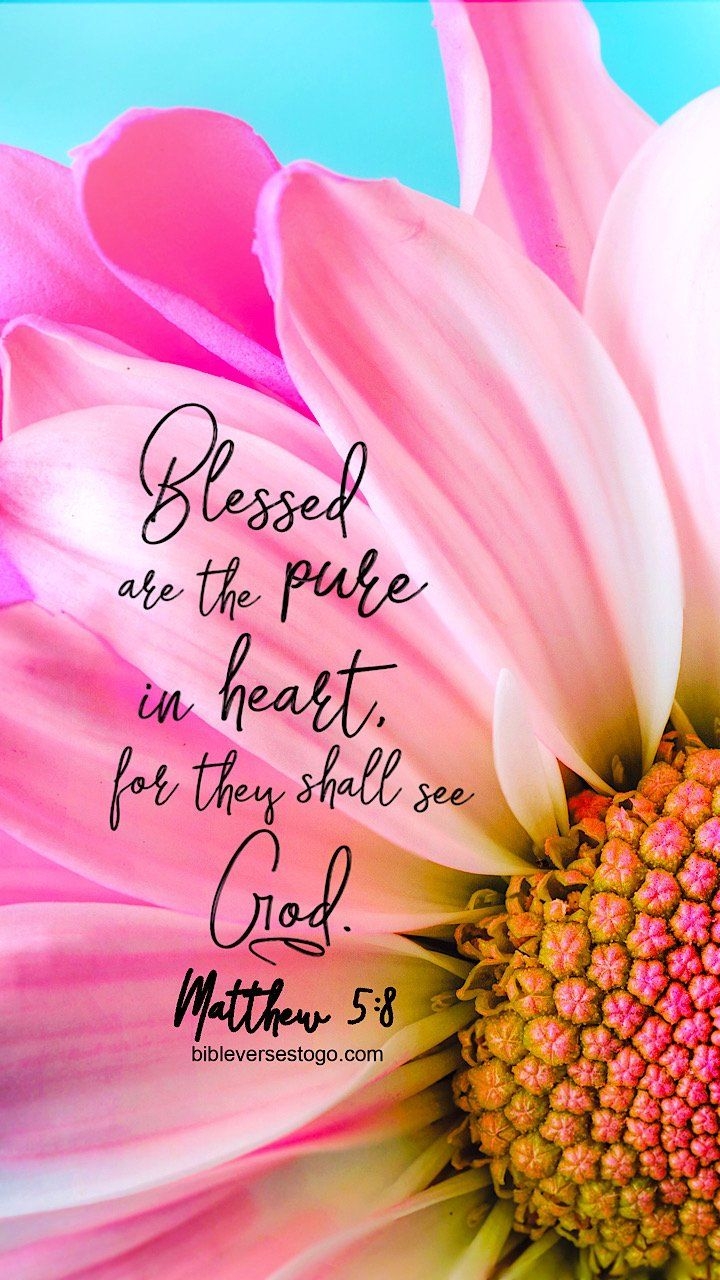 720x1280 Pink Scripture Wallpaper 500 FREE Downloads Verses To Go, Phone