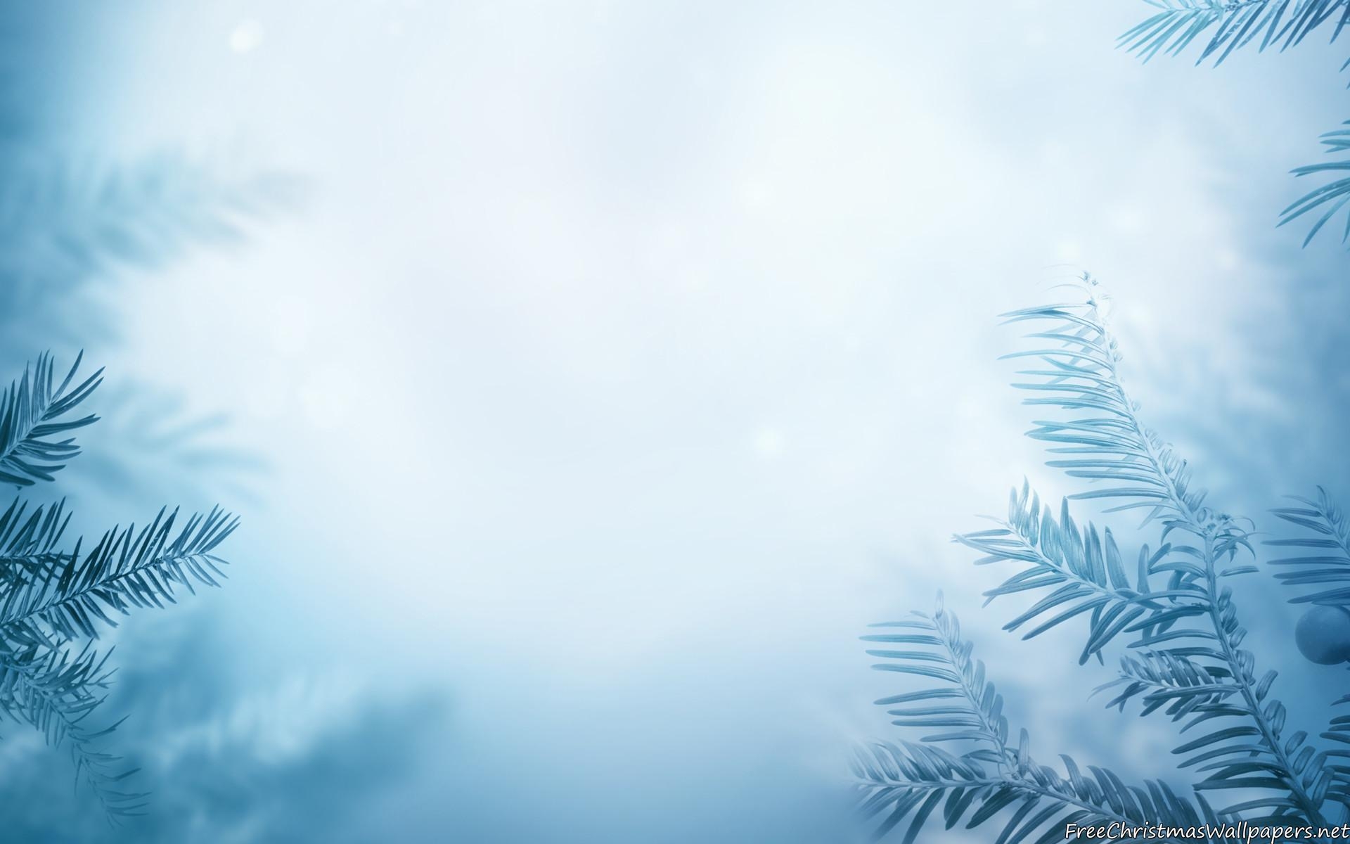 1920x1200 Cute Winter Background, Desktop