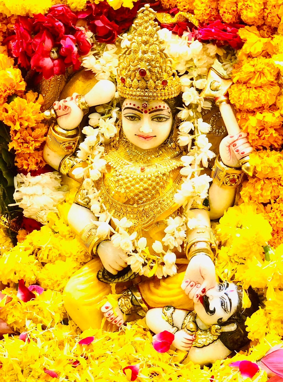 1190x1600 Maa BaglaMukhi Mandir Baglamukhi maintains the eighth significant position among all the Ten Mahavidya's. Baglamukhi Puja helps us to defeat our external enemies as well as internal enemies such, Phone