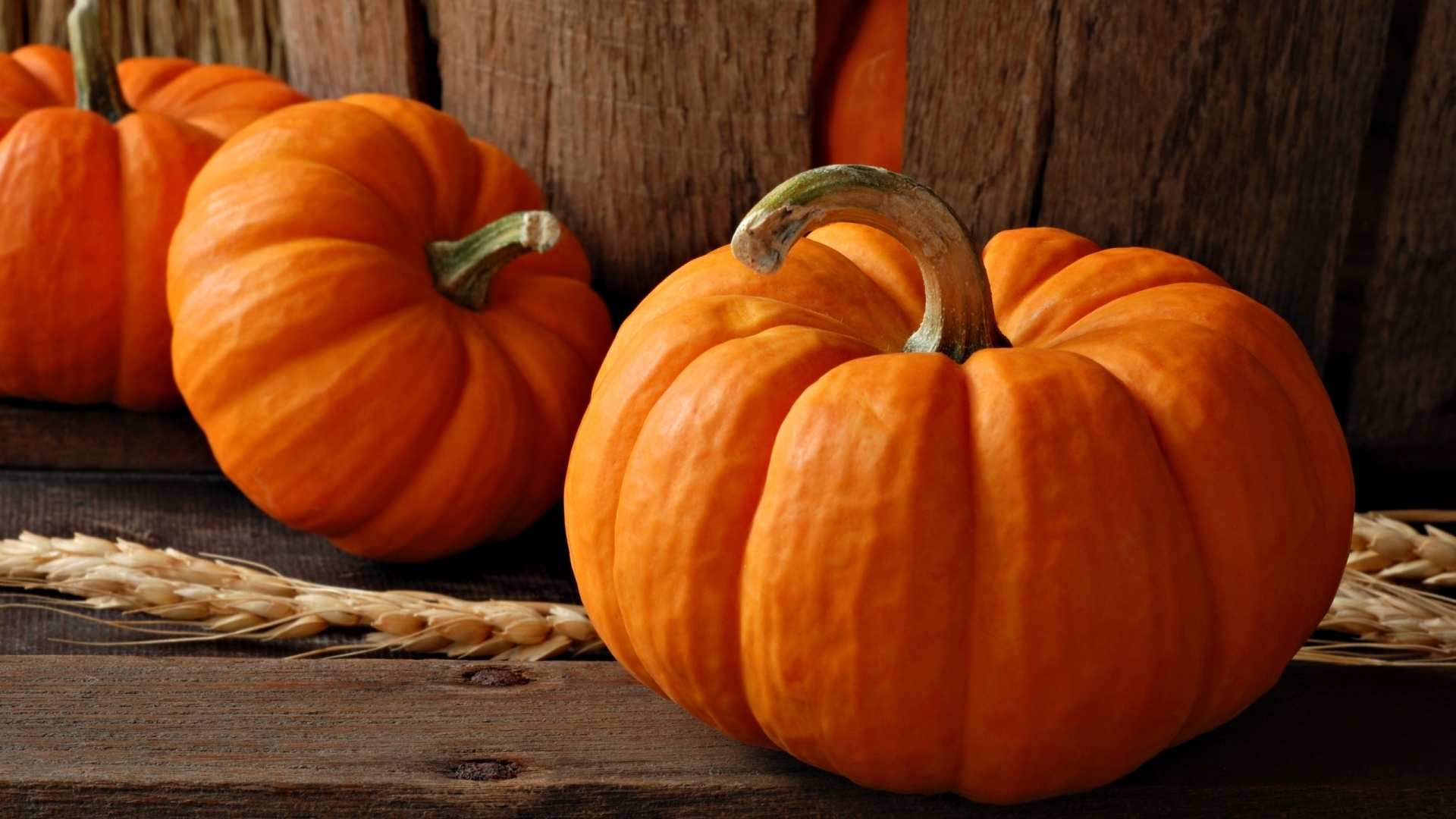 1920x1080 Pumpkin Wallpaper, Desktop