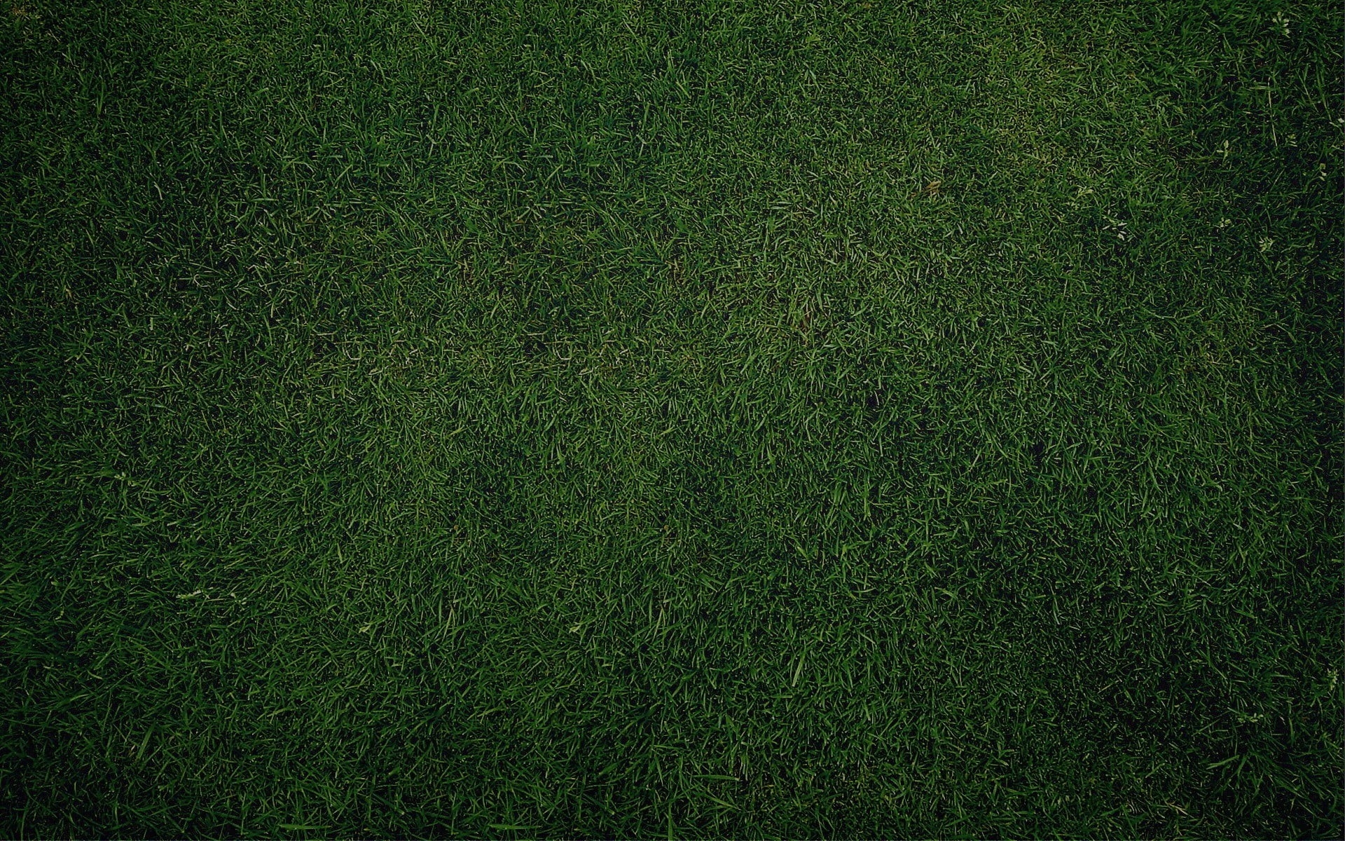 1920x1200 Wallpaper / 1080P, Close Up, Plant, Grass, Texture, Stadium, Lawn, Textured, Soccer, Environment, Green Color, Grass Area, Backdrop, Artificial, Full Frame, Pattern Free Download, Desktop