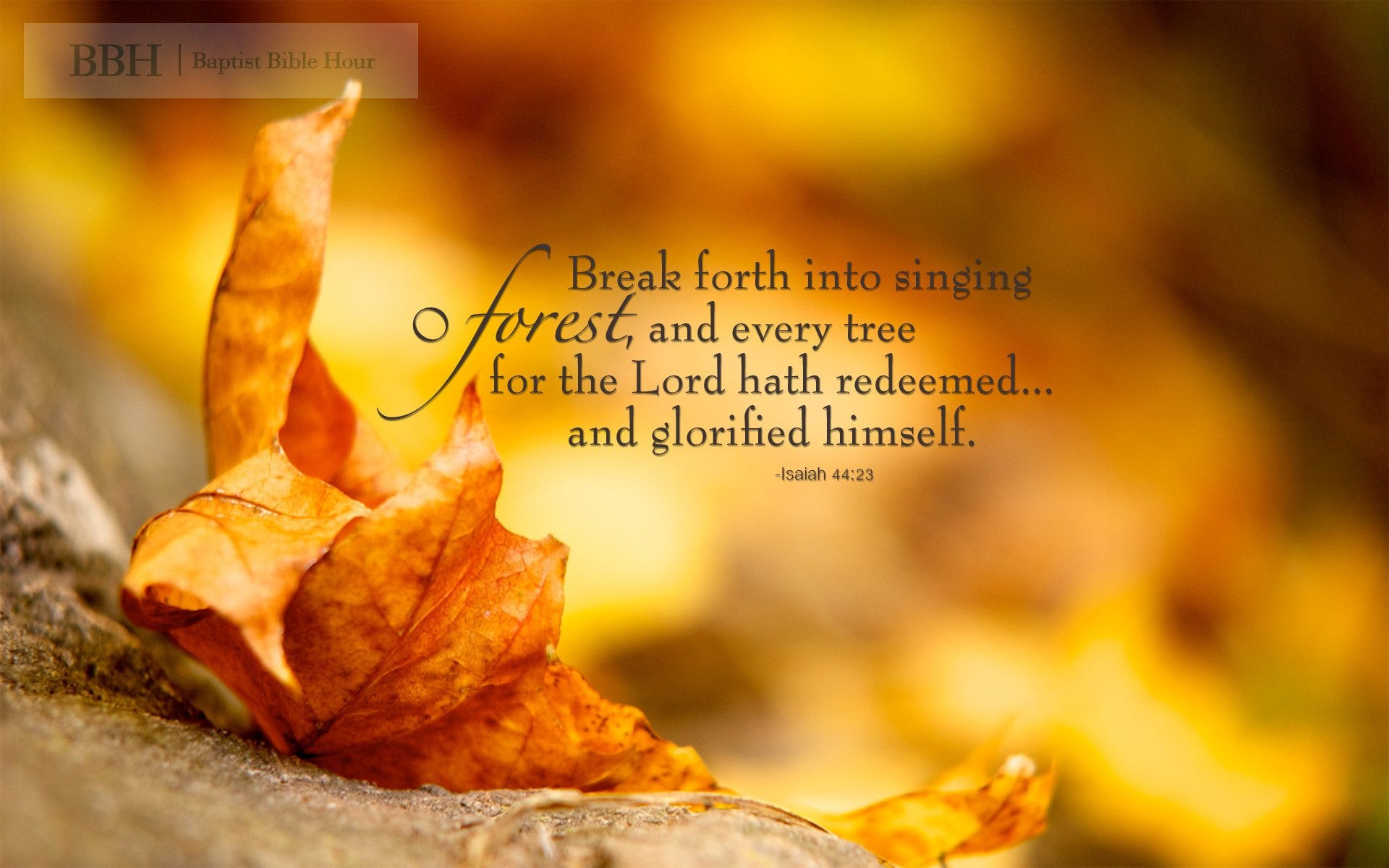 1920x1200 Autumn Scriptures Verses, Desktop