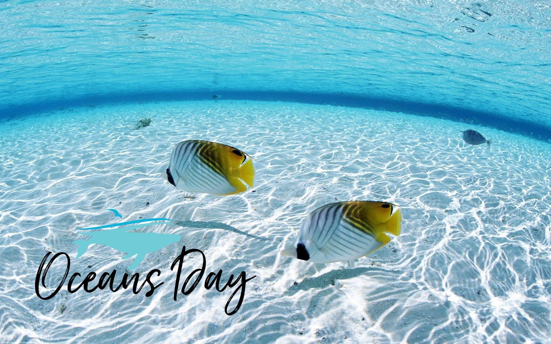 1920x1200 World Oceans Day Wallpaper Free Download, Desktop