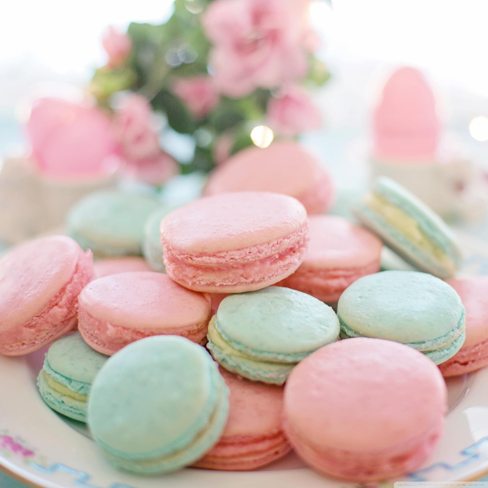 2050x2050 Pastel Macarons Aesthetic Ultra HD Desktop Background Wallpaper, Phone