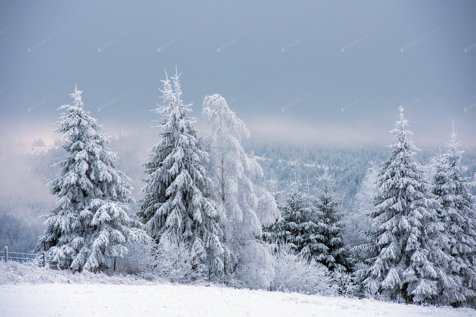 1600x1070 Fairy winter landscape with snowy trees photo, Desktop