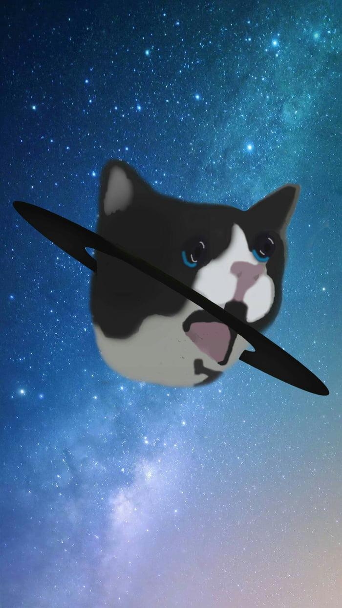 700x1250 As requested by a comment here's a crying cat meme wallpaper, Phone