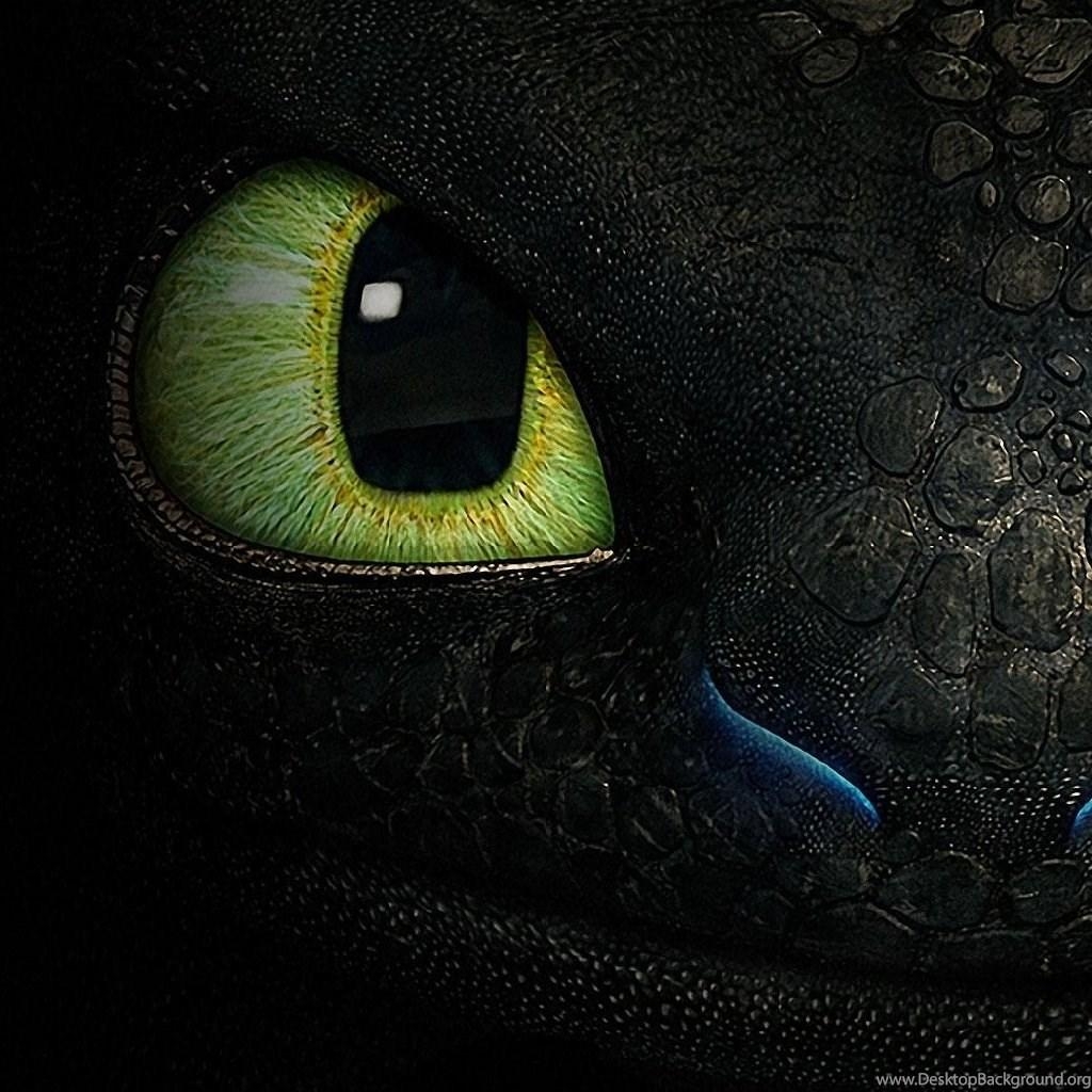 1030x1030 iPad Wallpaper How To Train Your Dragon Toothless My HD, Phone