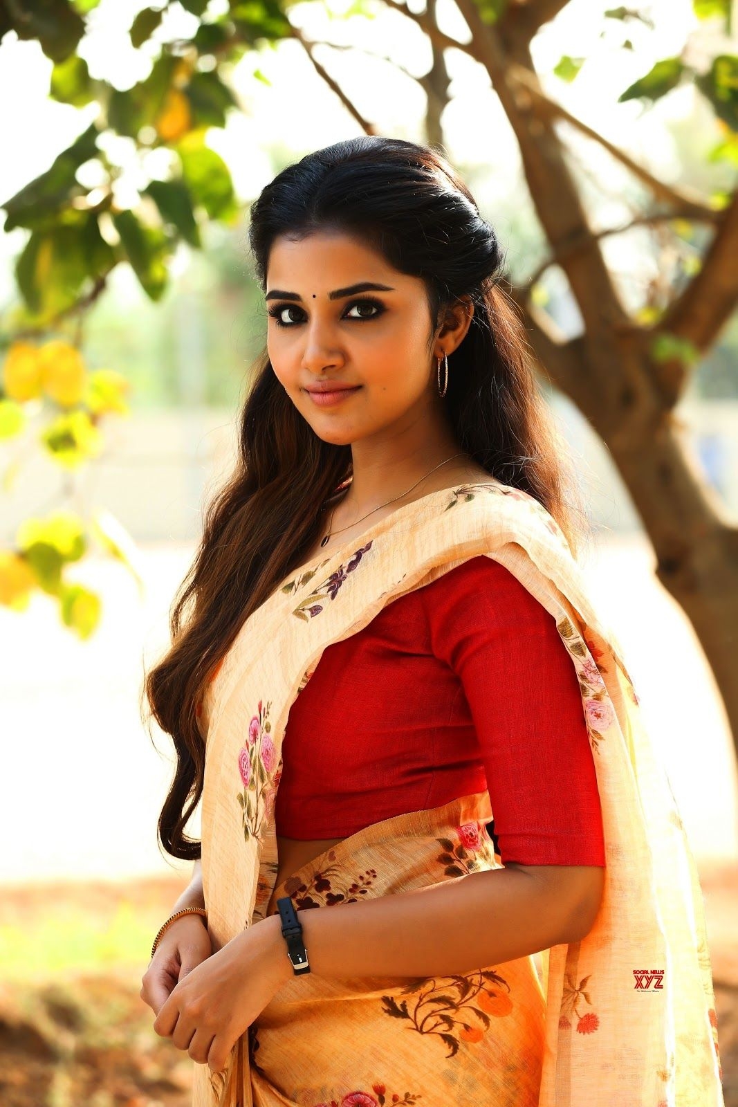 1070x1600 Anupama Parameswaran Saree, Phone