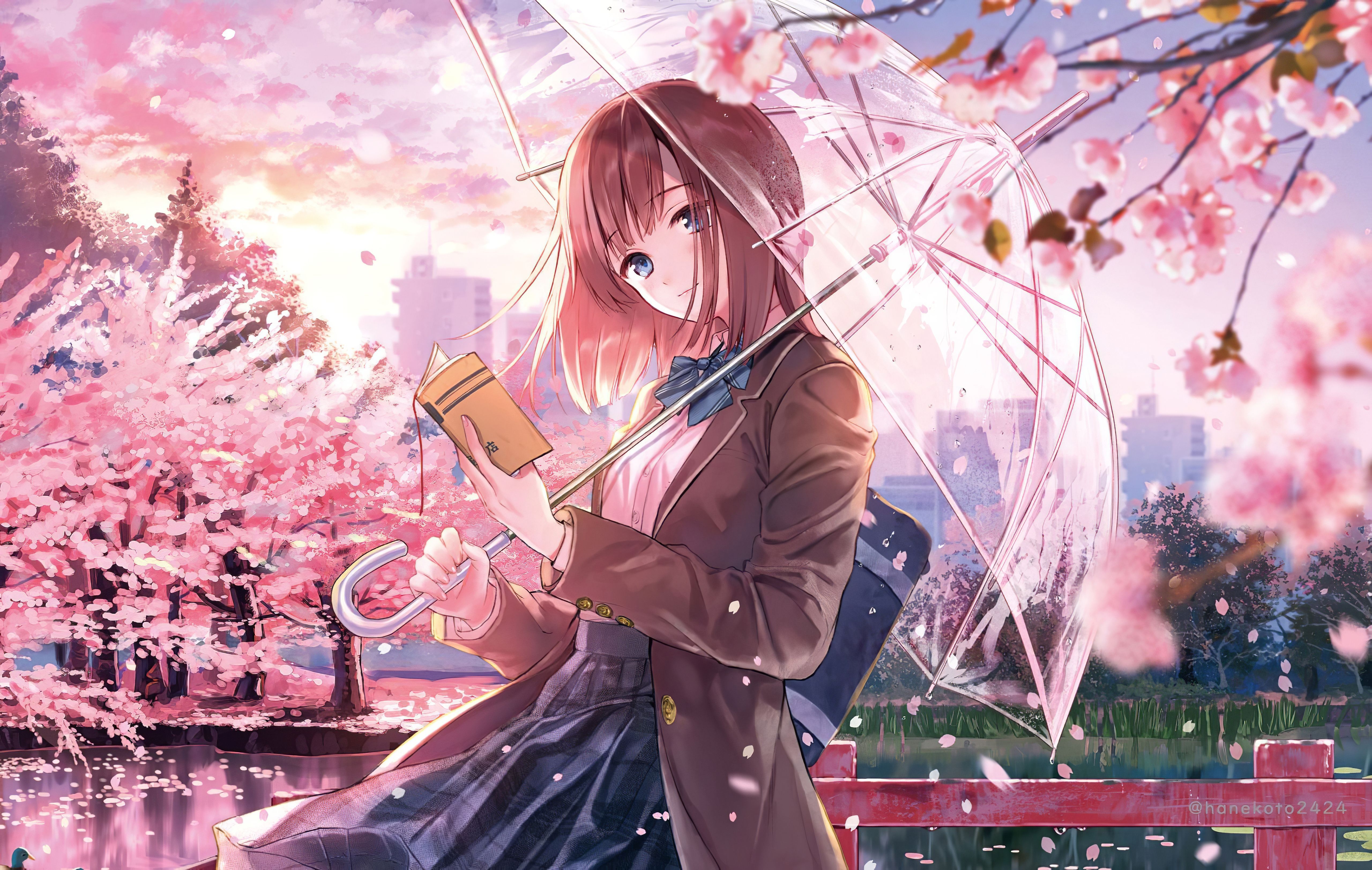 5120x3250 Anime Cherry Blossom Girl Wallpaper Free Anime Cherry Blossom Girl Background, Desktop