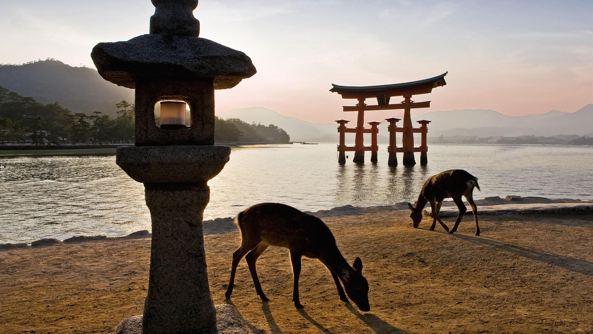 1920x1080 Torii Gate Shrine, Japan, Desktop