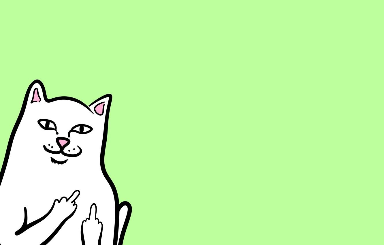 1340x850 Wallpaper minimalism, cat, animal, ripndip image for desktop, Desktop