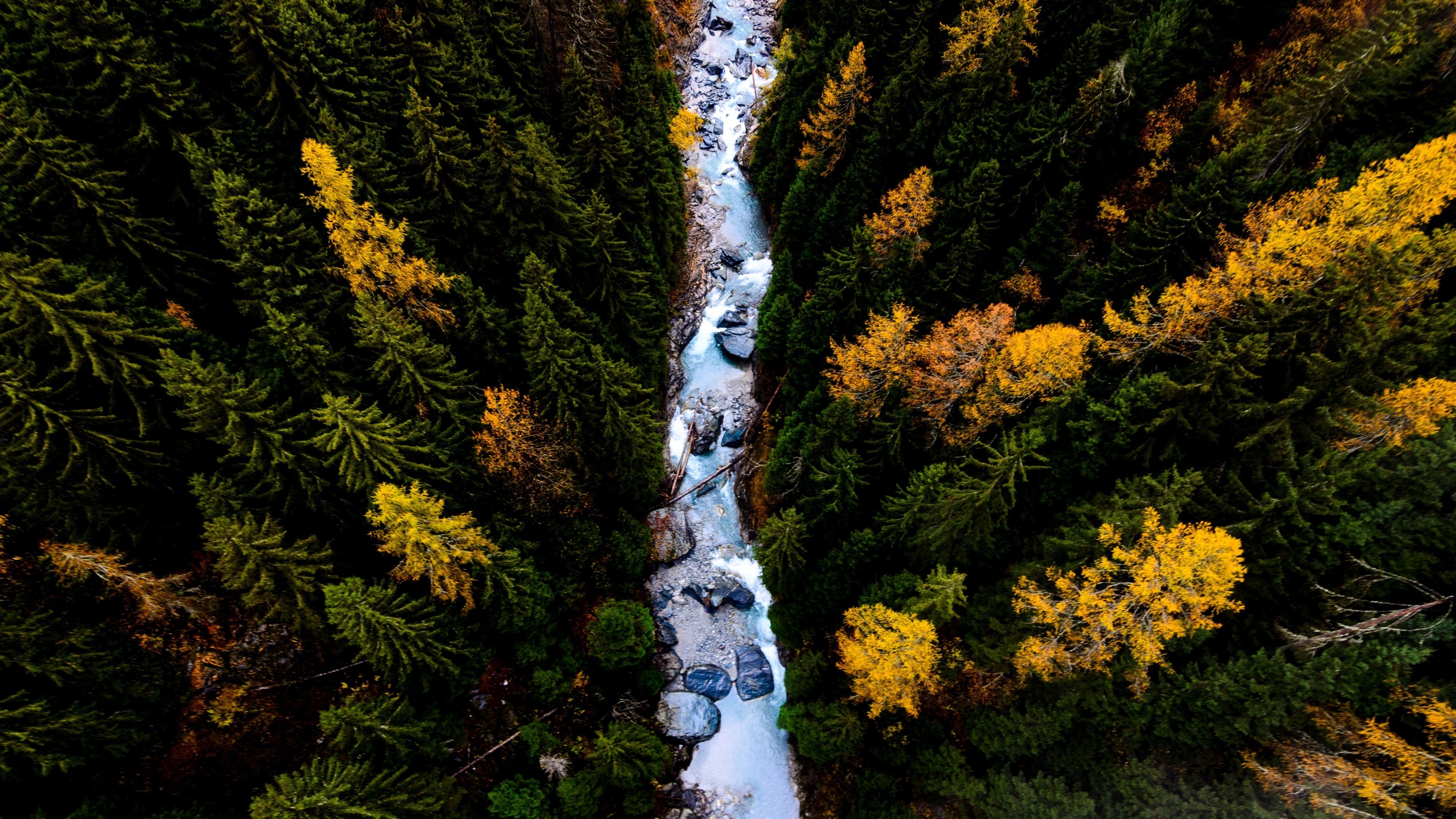 3840x2160 Aerial view of trees in a forest Wallpaper 4k Ultra HD, Desktop