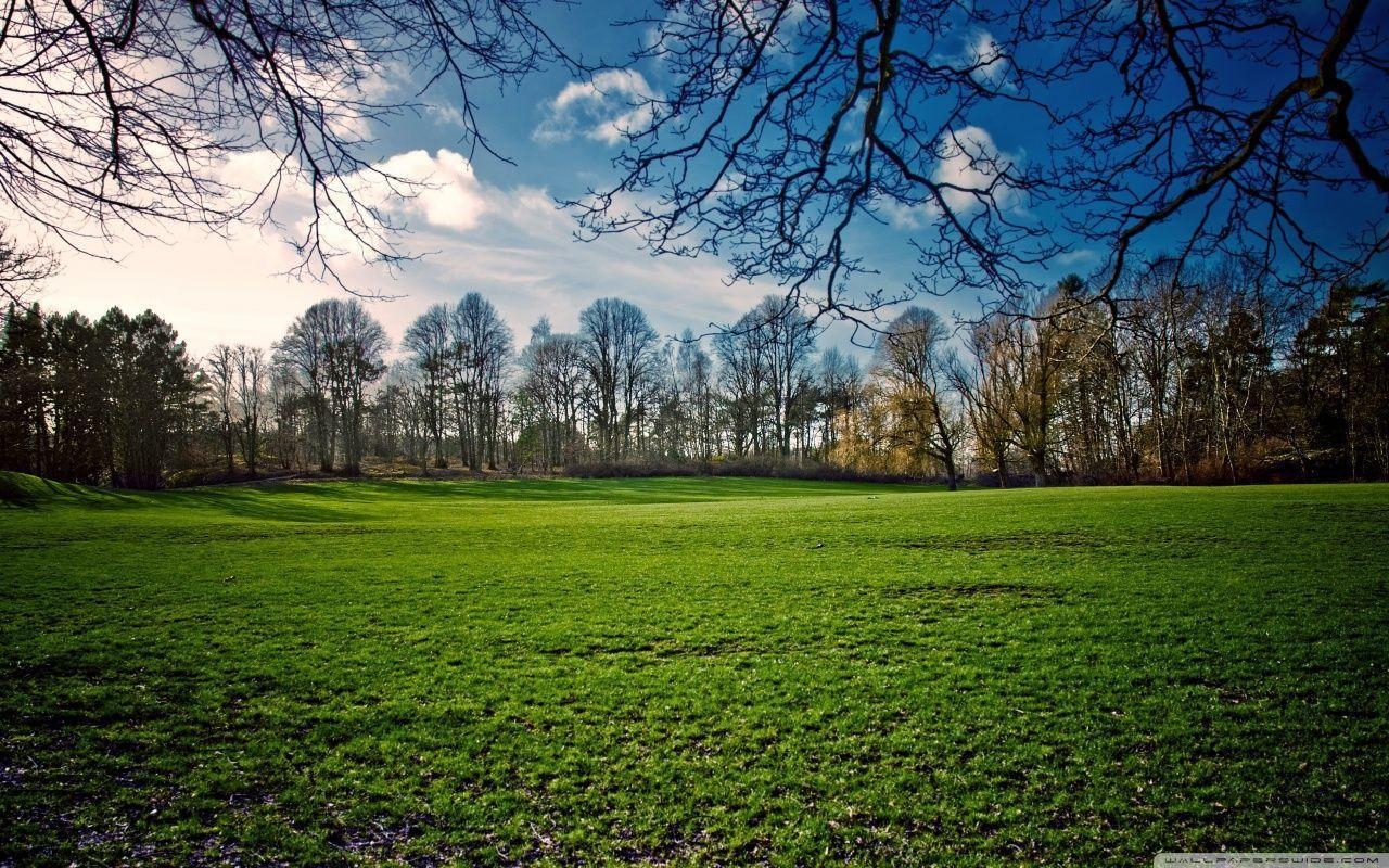 1280x800 Beautiful Meadow, Spring HD desktop wallpaper, Fullscreen, Desktop