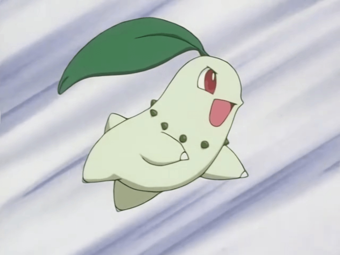 1180x890 Ash Chikorita.png. Pokémon, Desktop