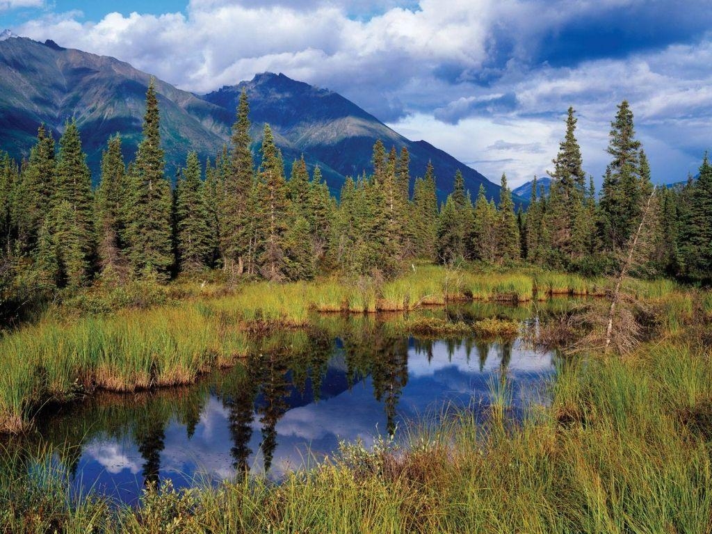 1030x770 Wrangell St. Elias National Park, Alaska places. Best, Desktop