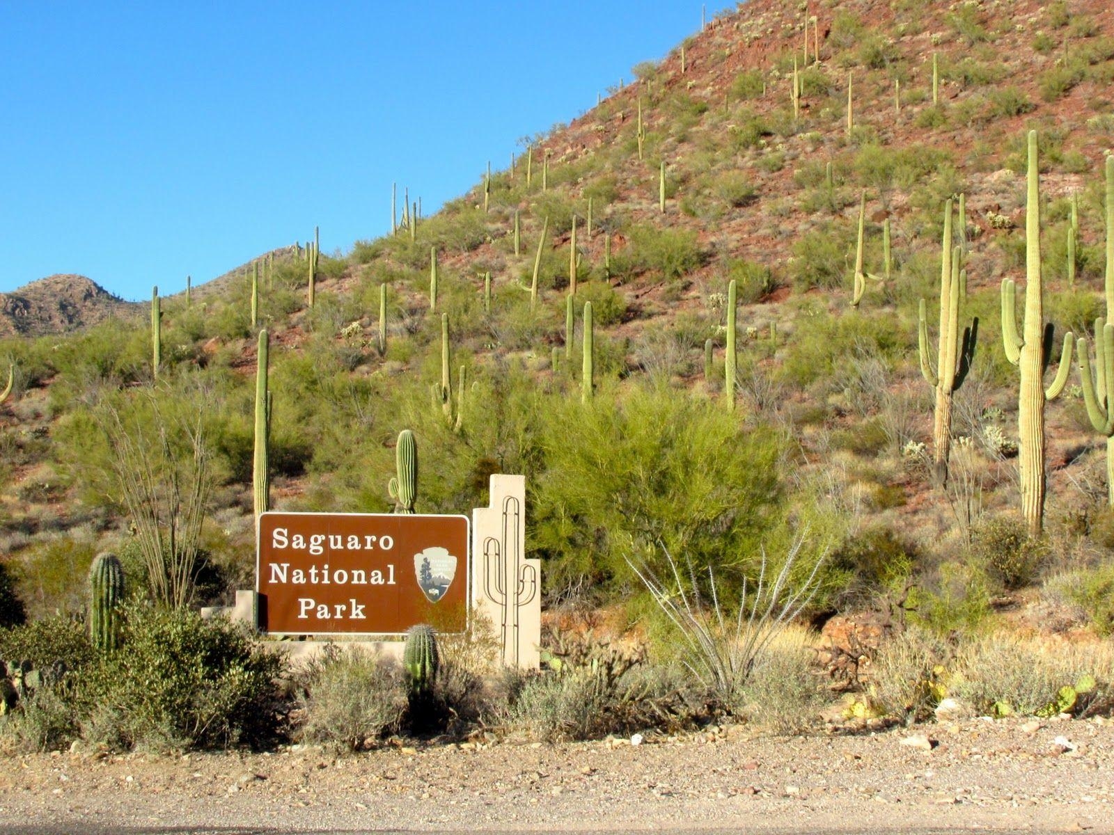 1600x1200 A Simple Solution To Saguaro National Park Traveller info, Desktop